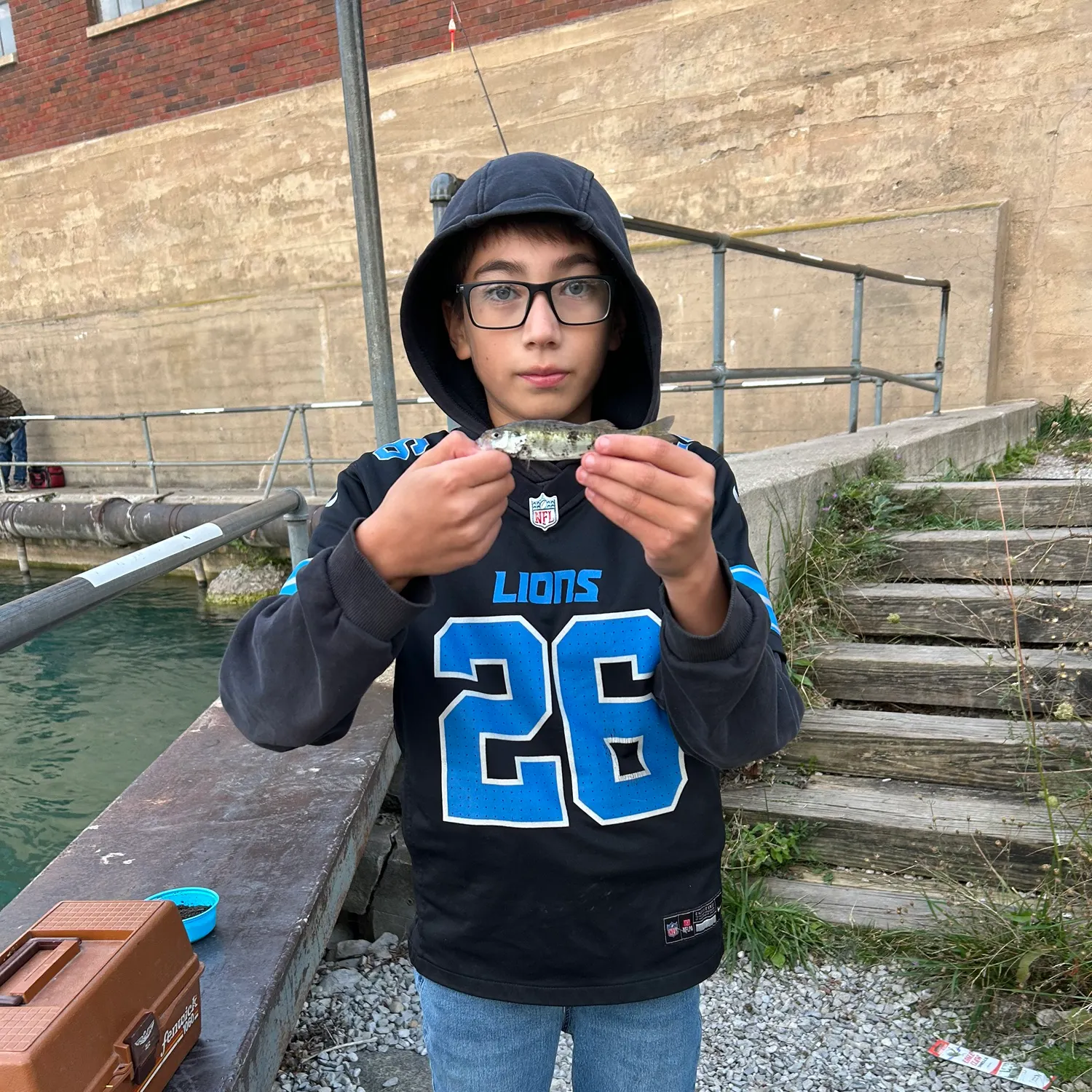 European perch caught on Fishbrain