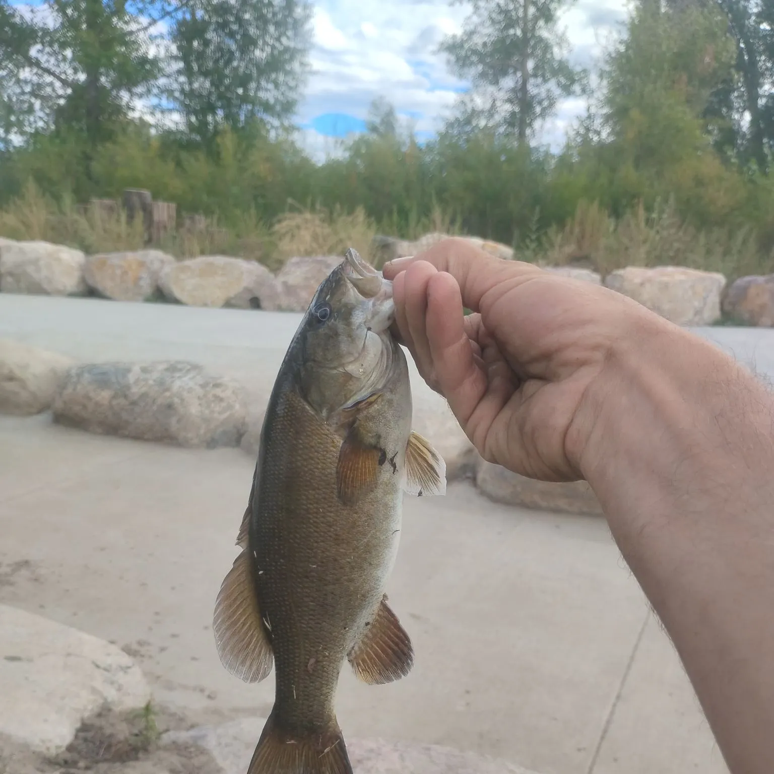 catch