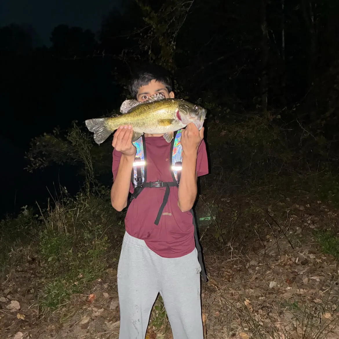 Largemouth bass caught on Fishbrain