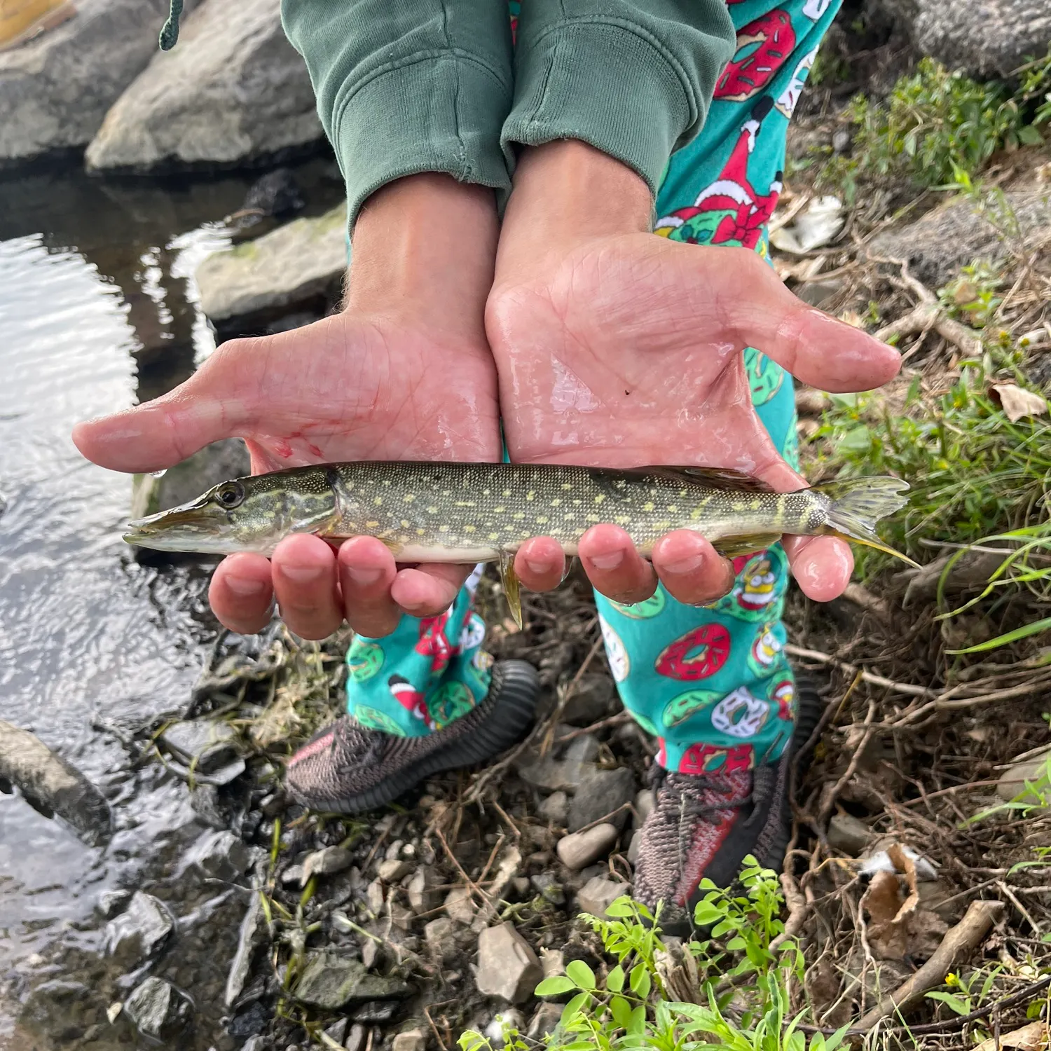 catch