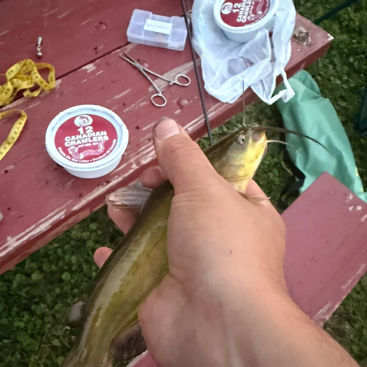 catch