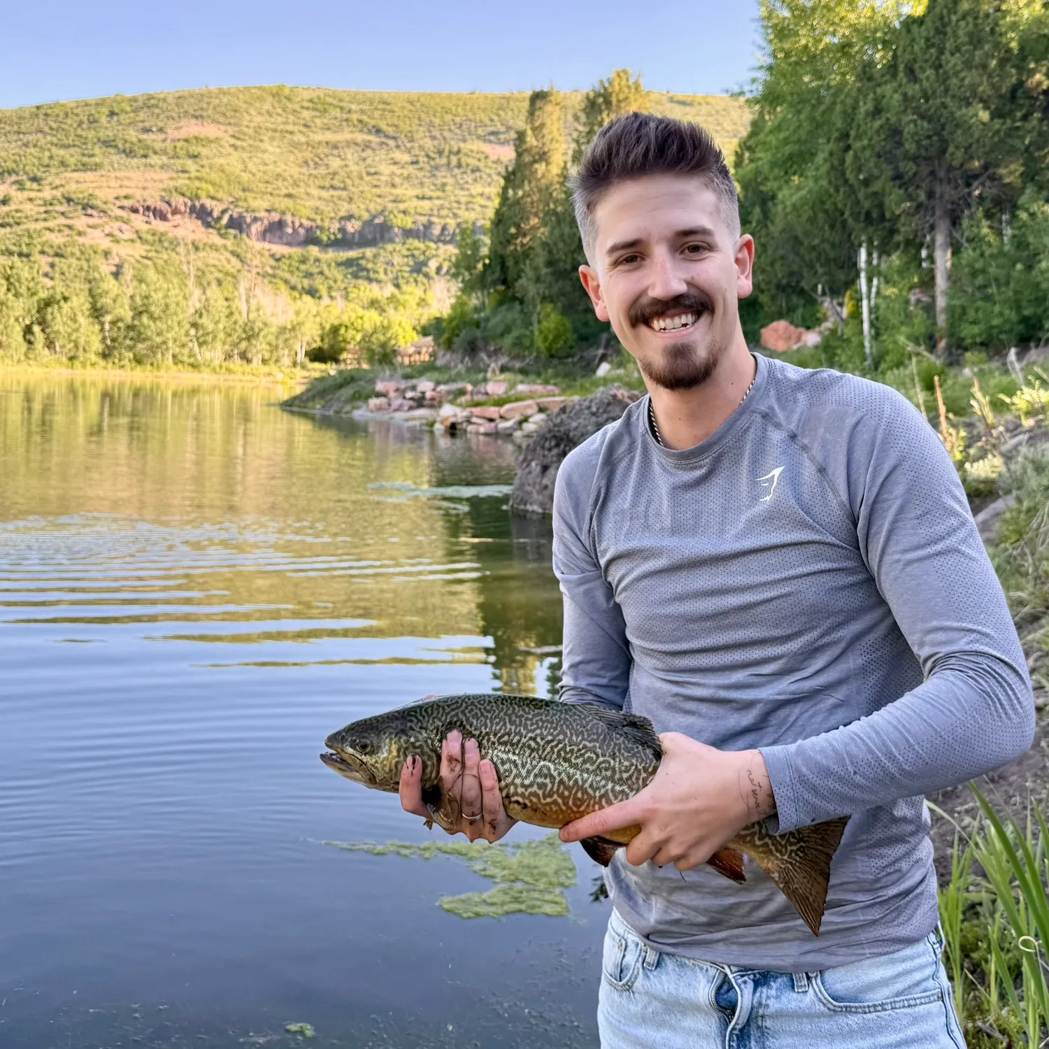 Tiger trout caught on Fishbrain