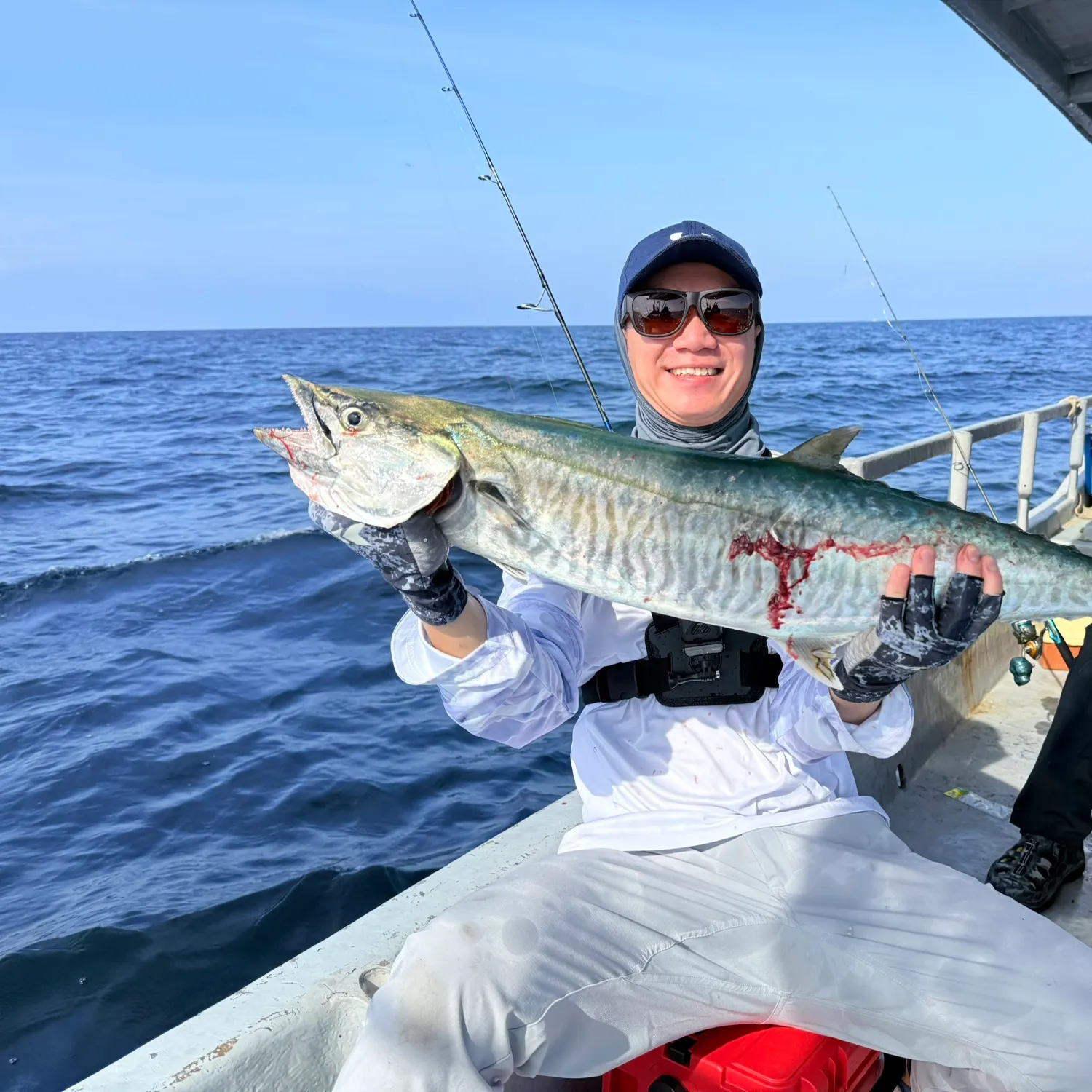 The most recent Narrow-barred Spanish mackerel catches on Fishbrain