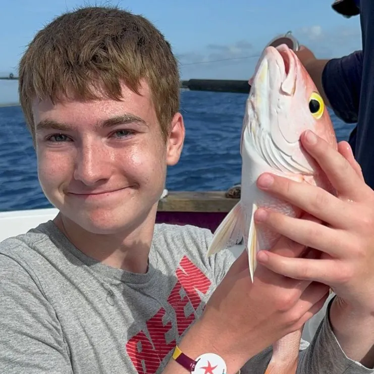 The most recent Yelloweye rockfish catches on Fishbrain