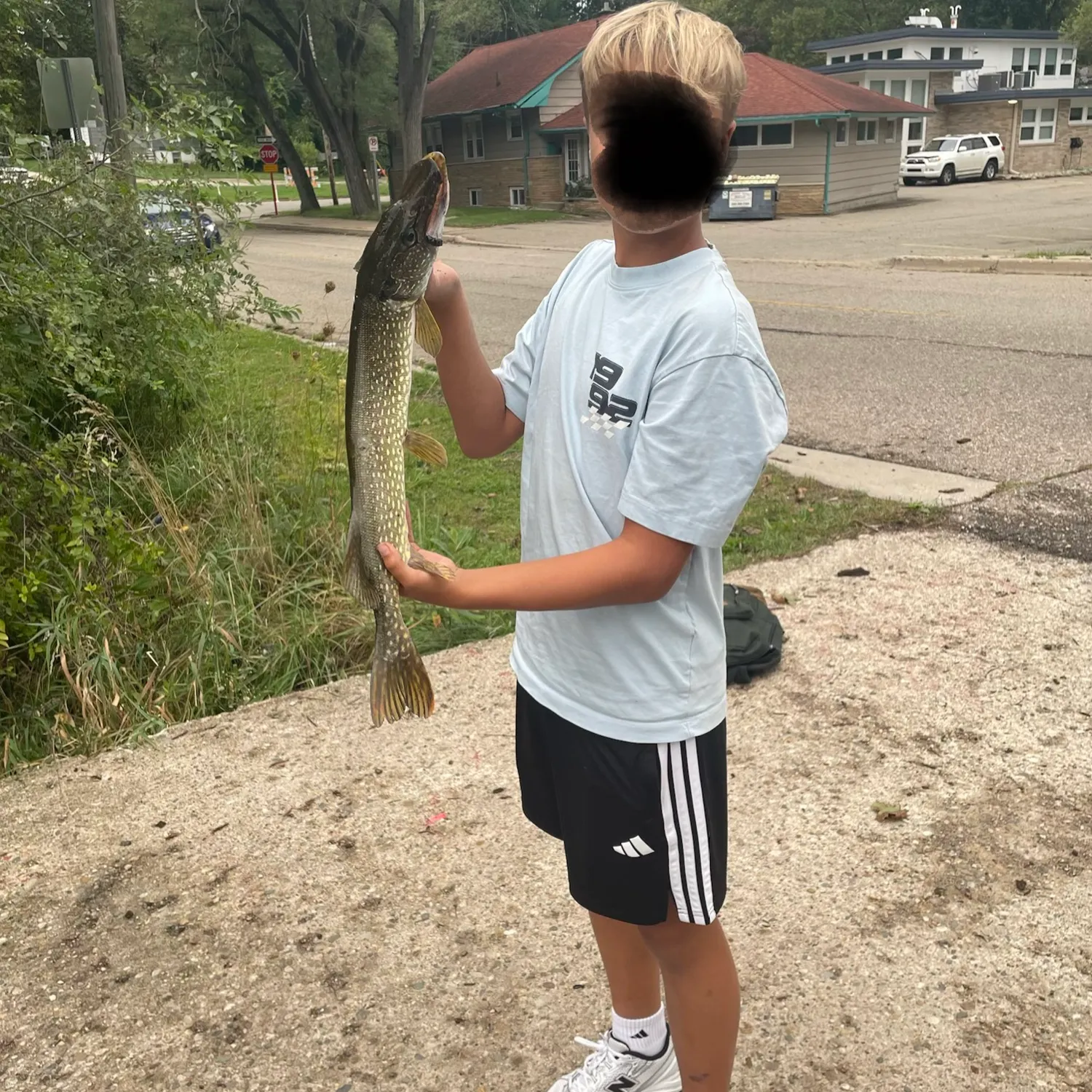 Northern pike caught on Fishbrain