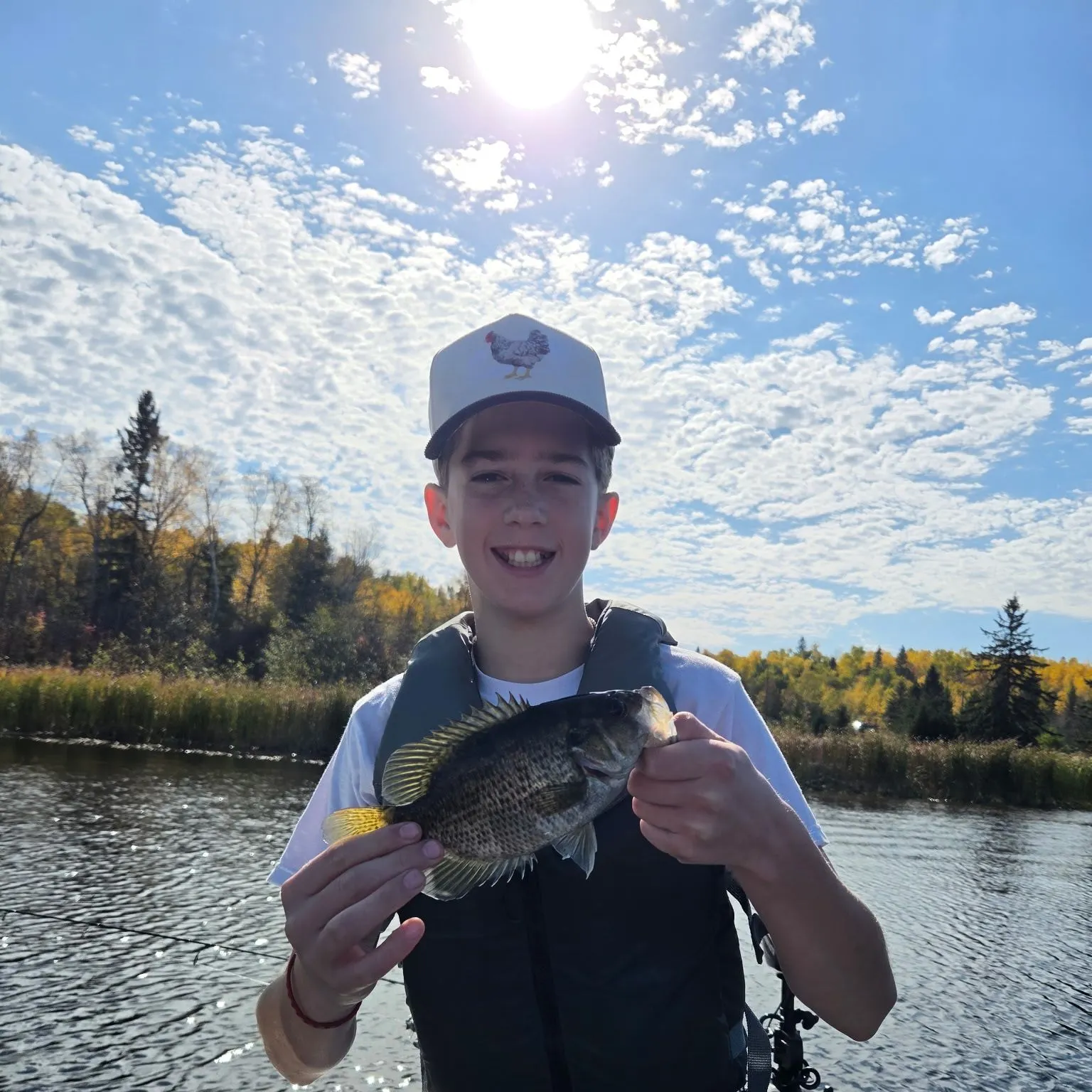 Black crappie caught on Fishbrain