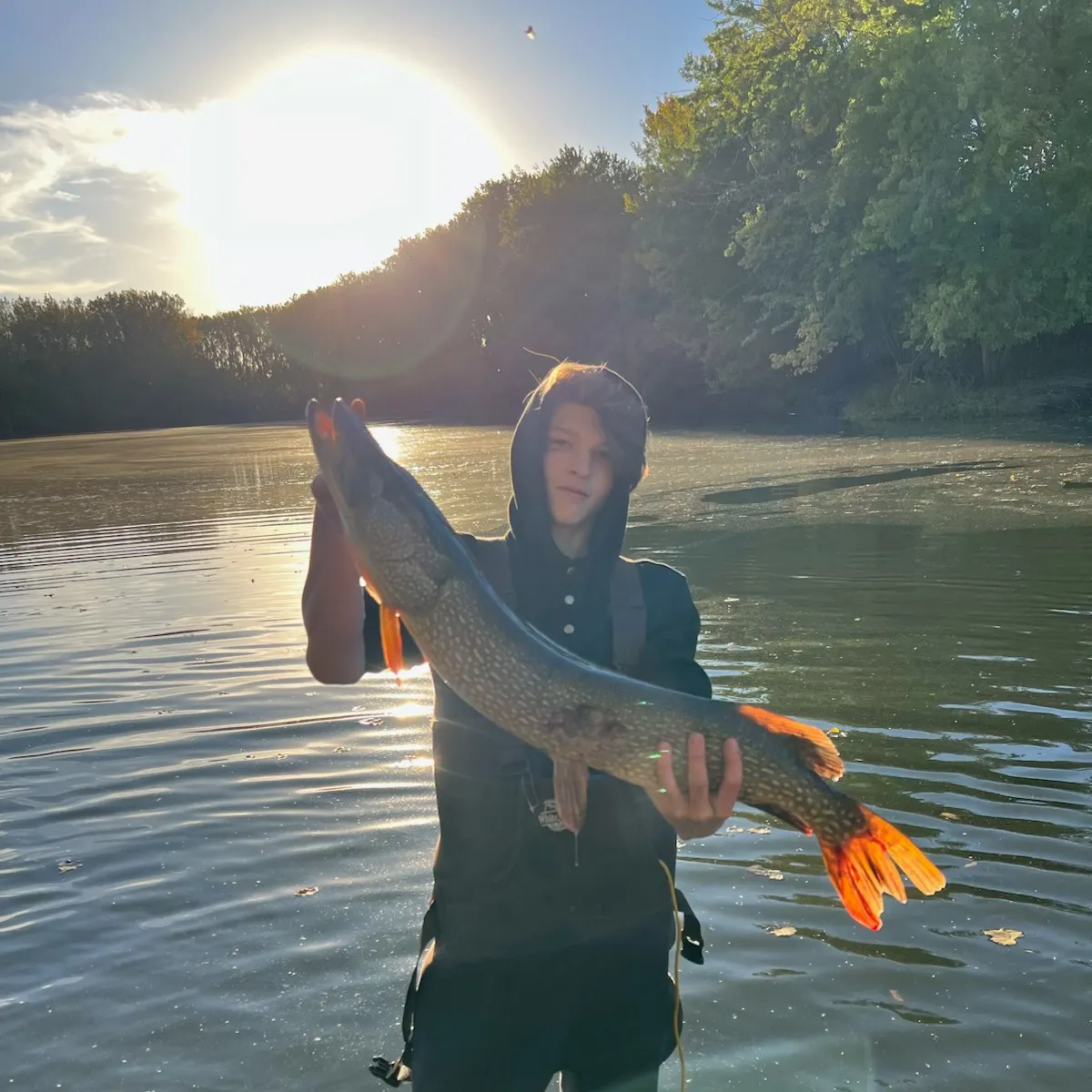 Northern pike caught on Fishbrain