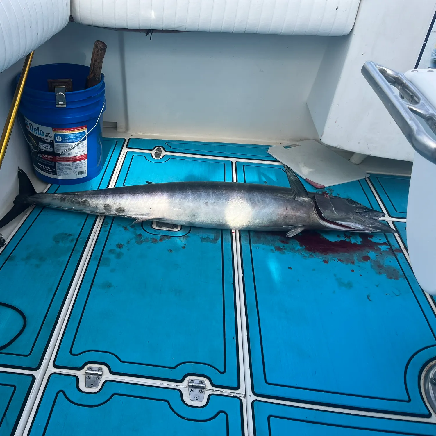 The most recent Wahoo catches on Fishbrain