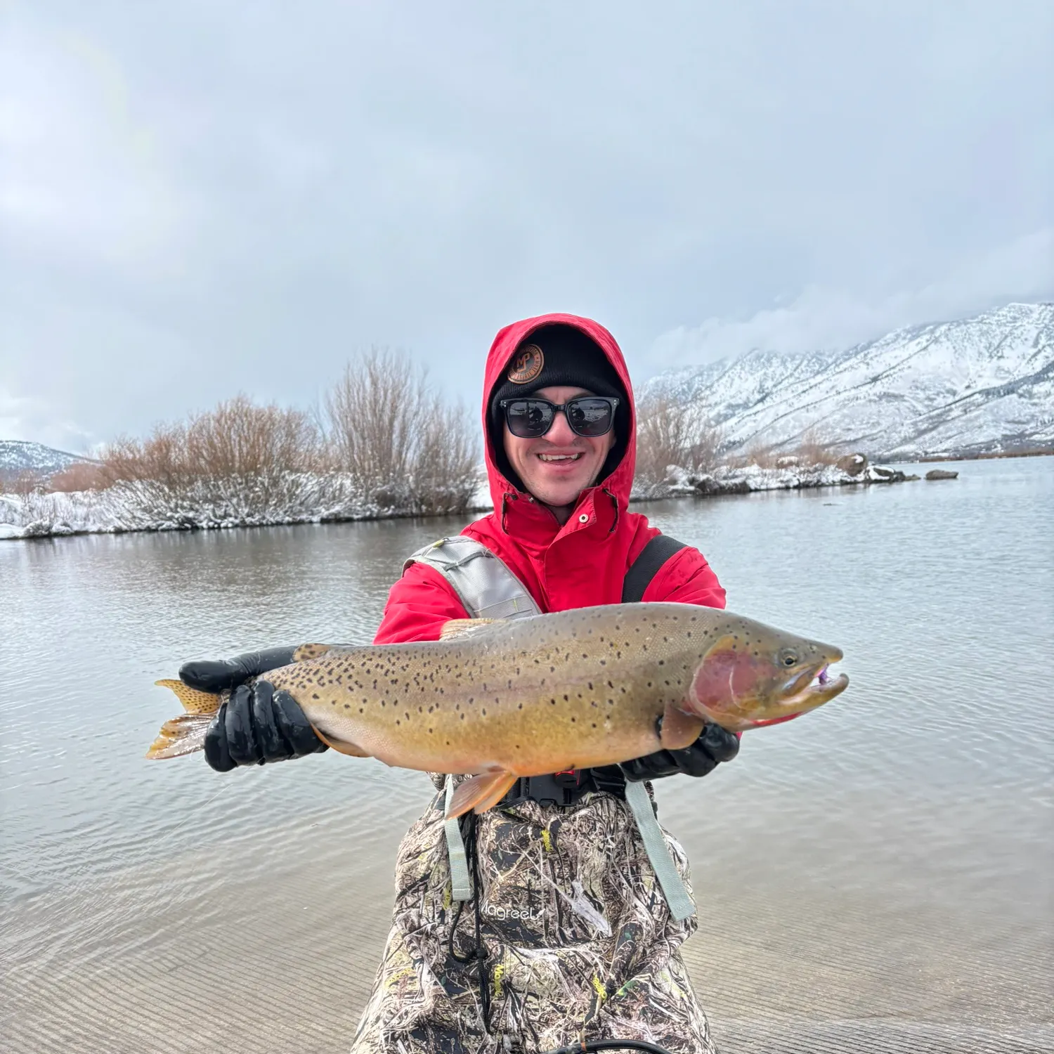 The most recent Yellowstone cutthroat trout catches on Fishbrain