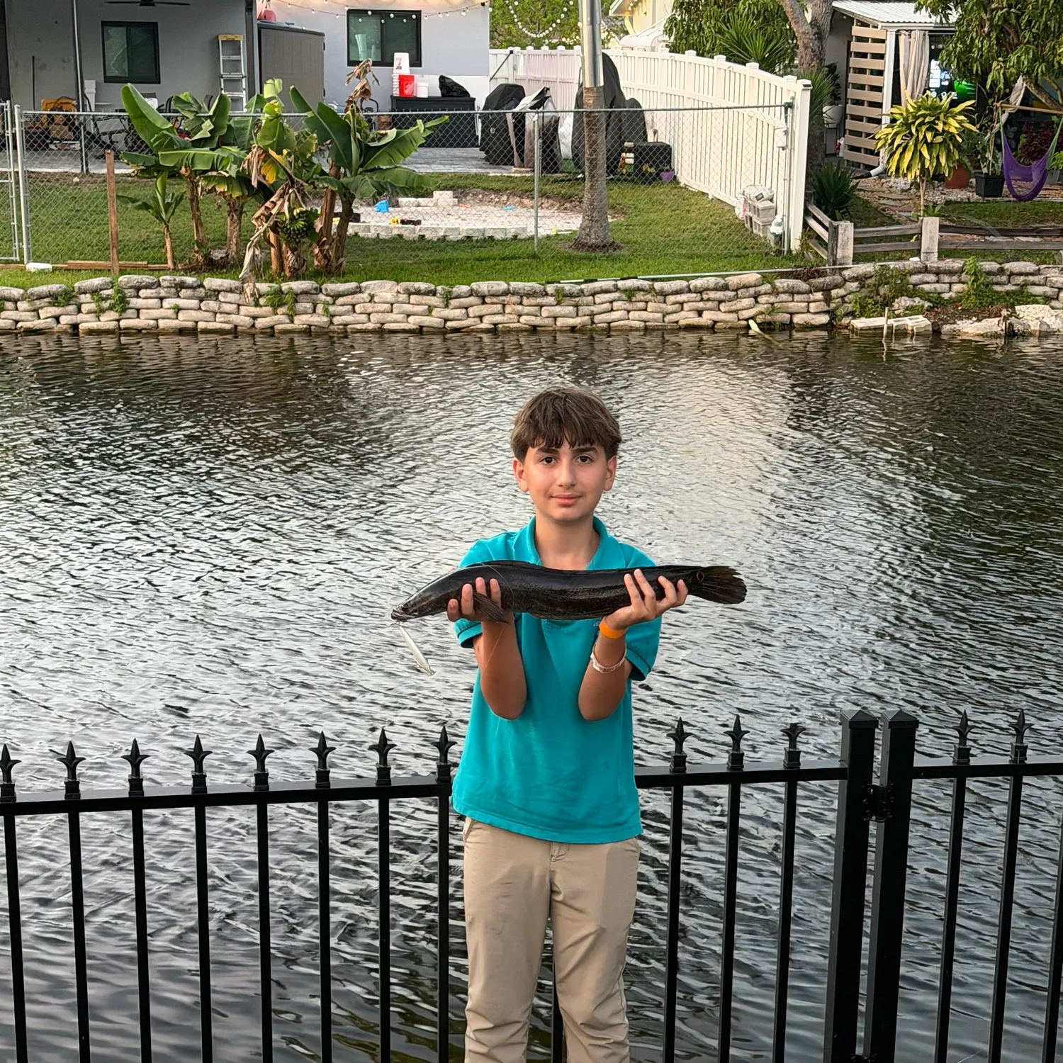 Fish caught on Fishbrain