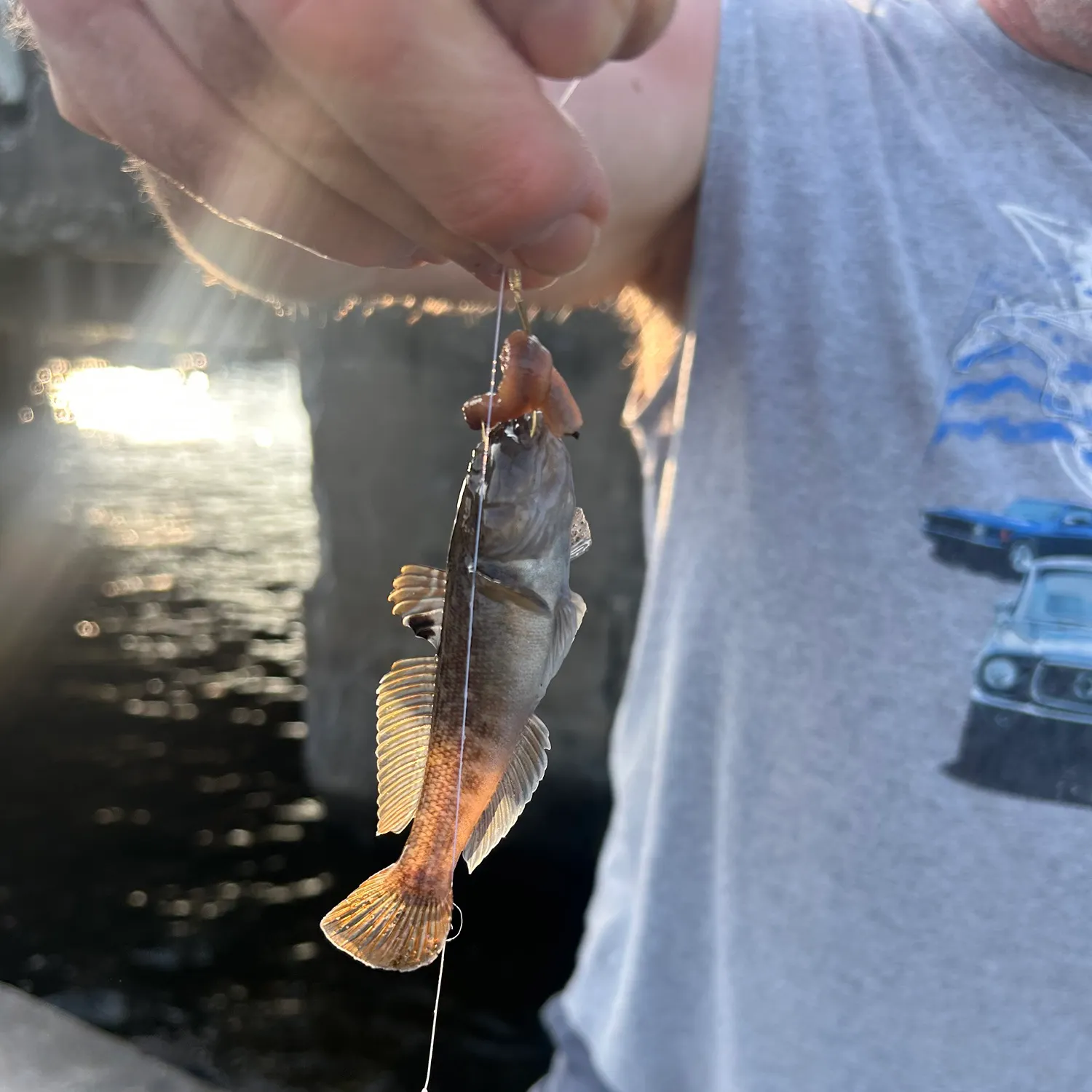most liked catch image
