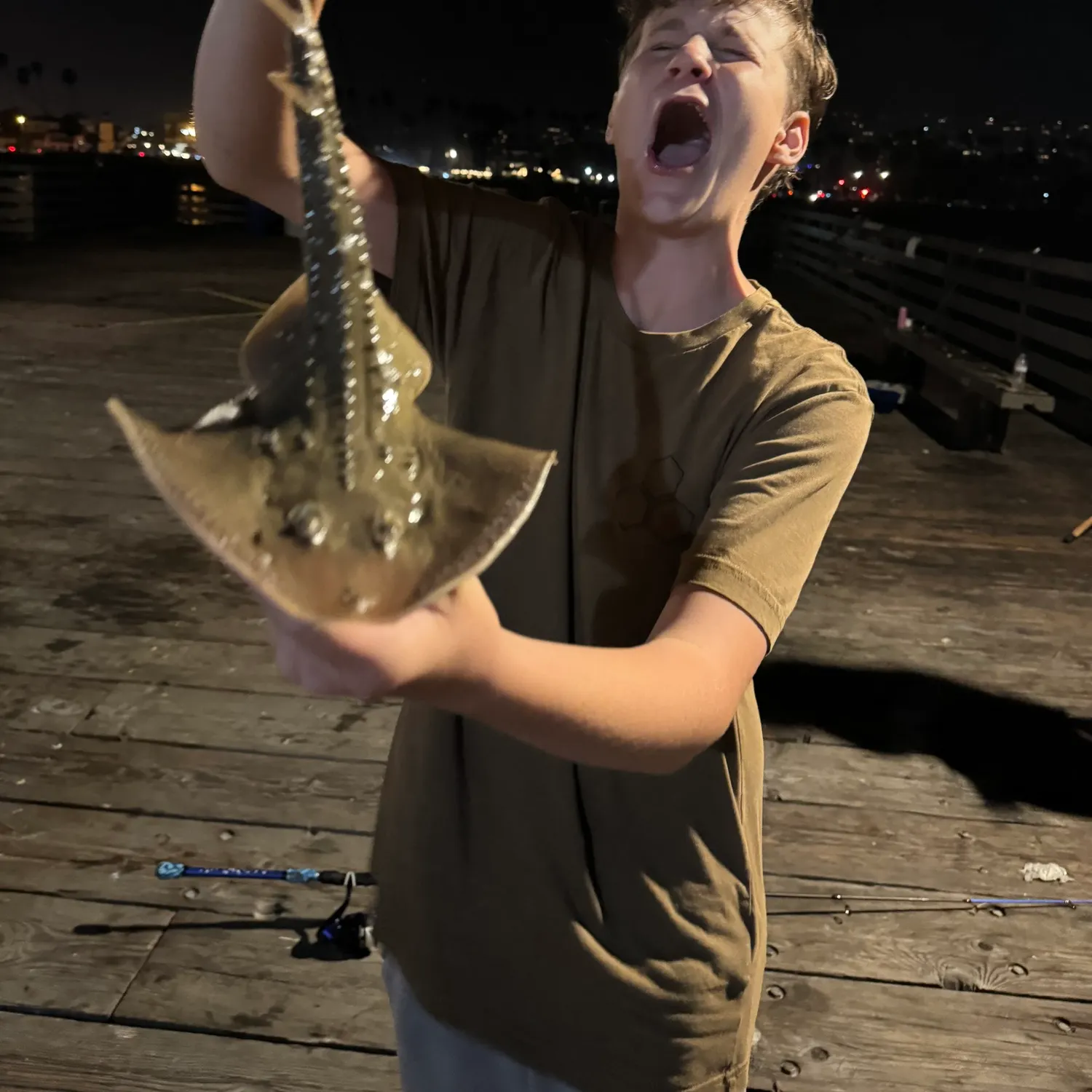 Thornback ray caught on Fishbrain