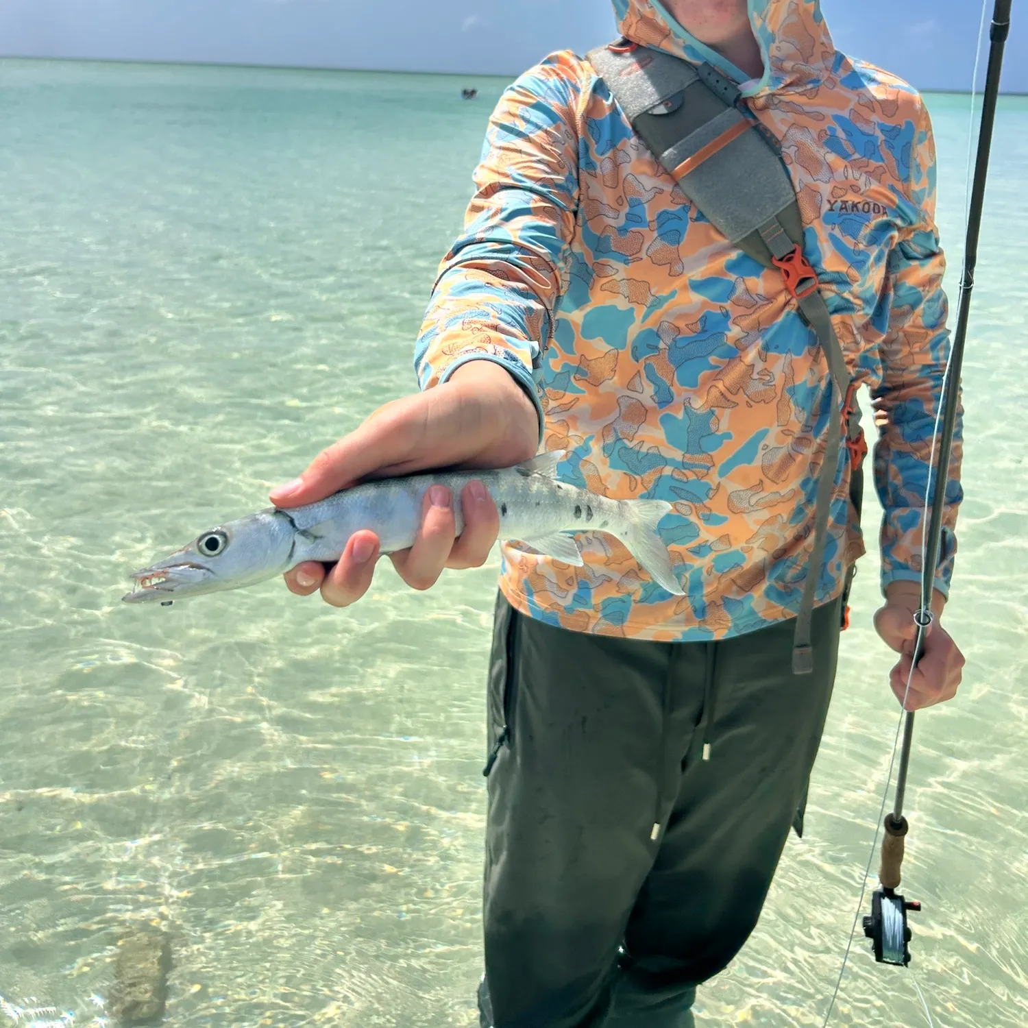 The most recent Great barracuda catches on Fishbrain