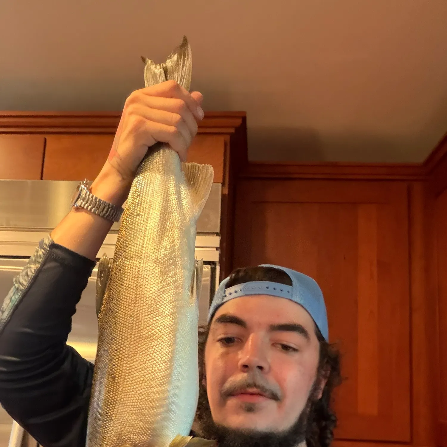 Coho salmon caught on Fishbrain