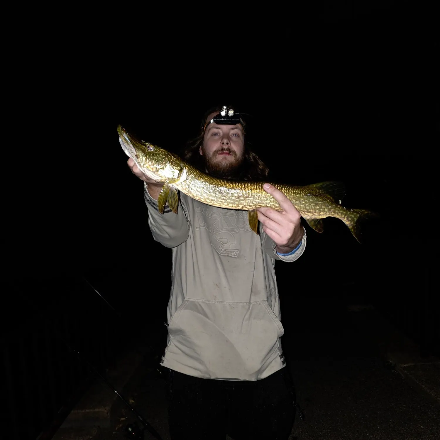 Northern pike caught on Fishbrain