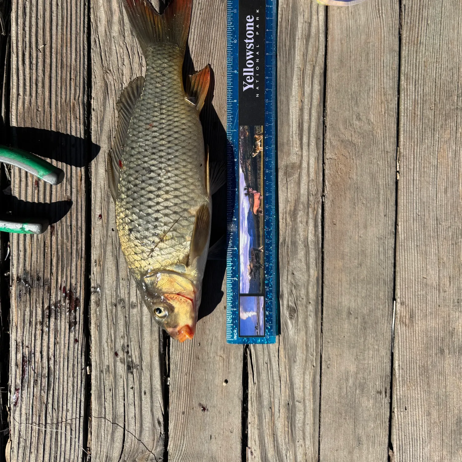 catch
