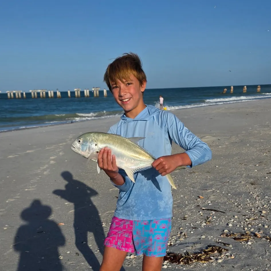 Crevalle jack caught on Fishbrain