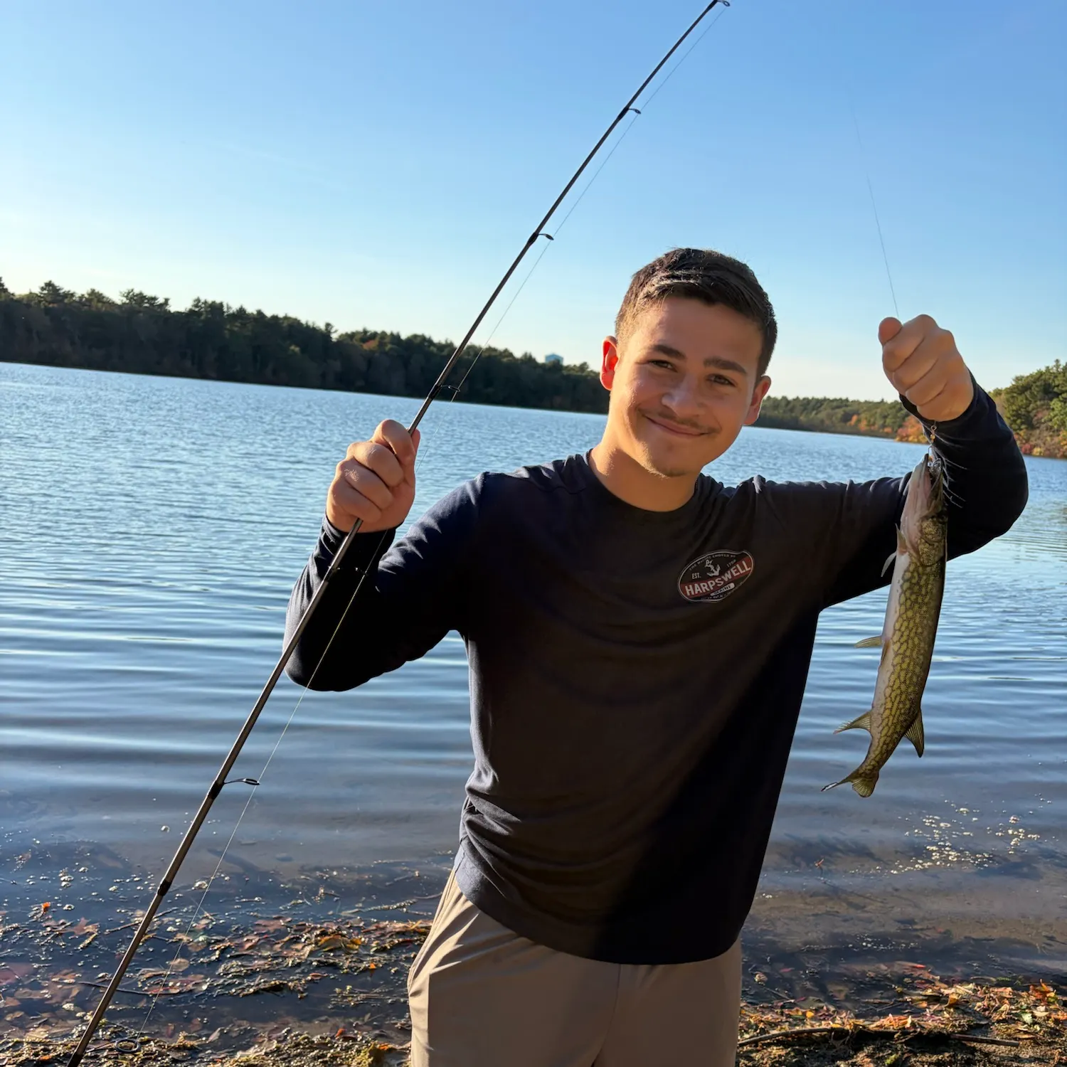 Chain pickerel caught on Fishbrain