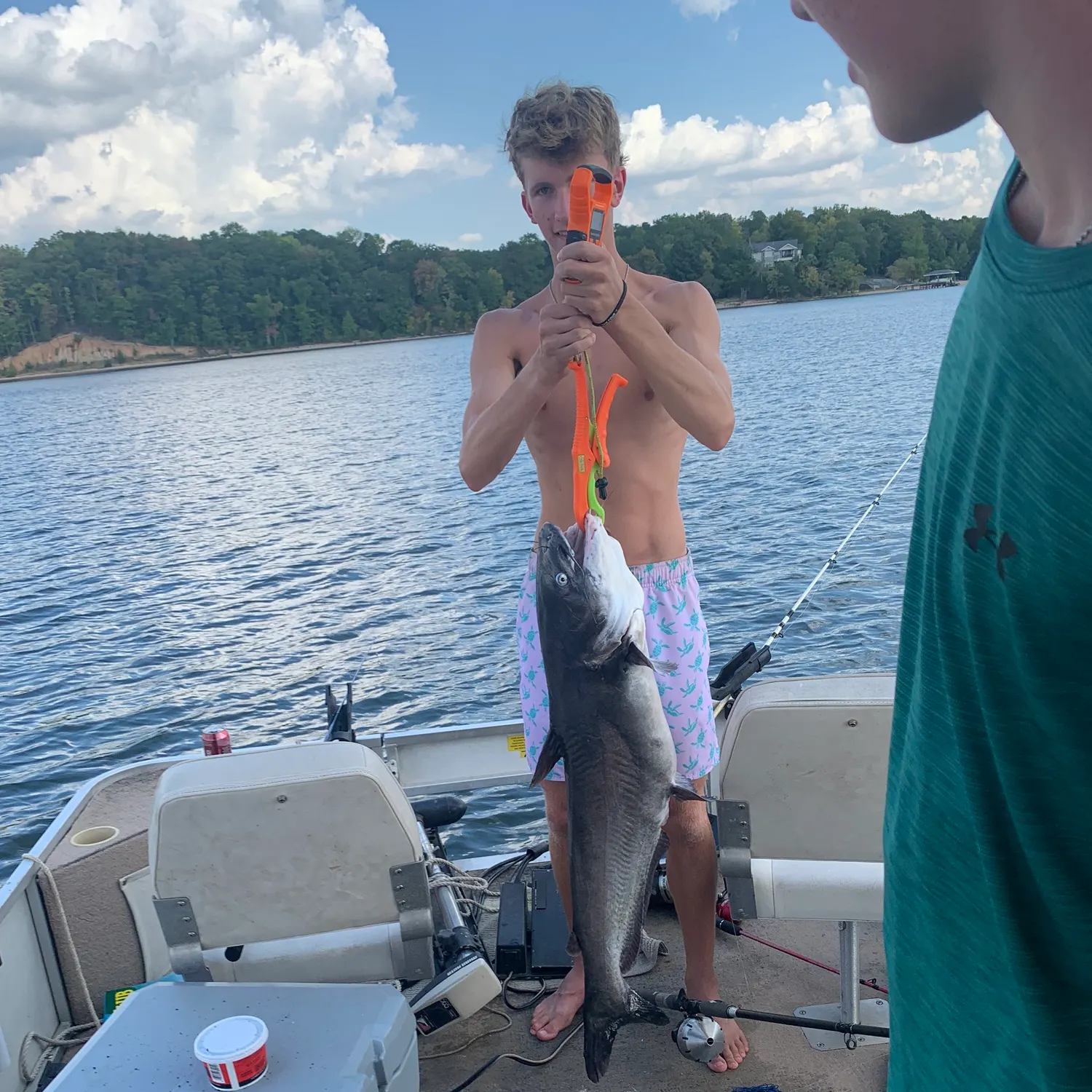 Blue catfish caught on Fishbrain