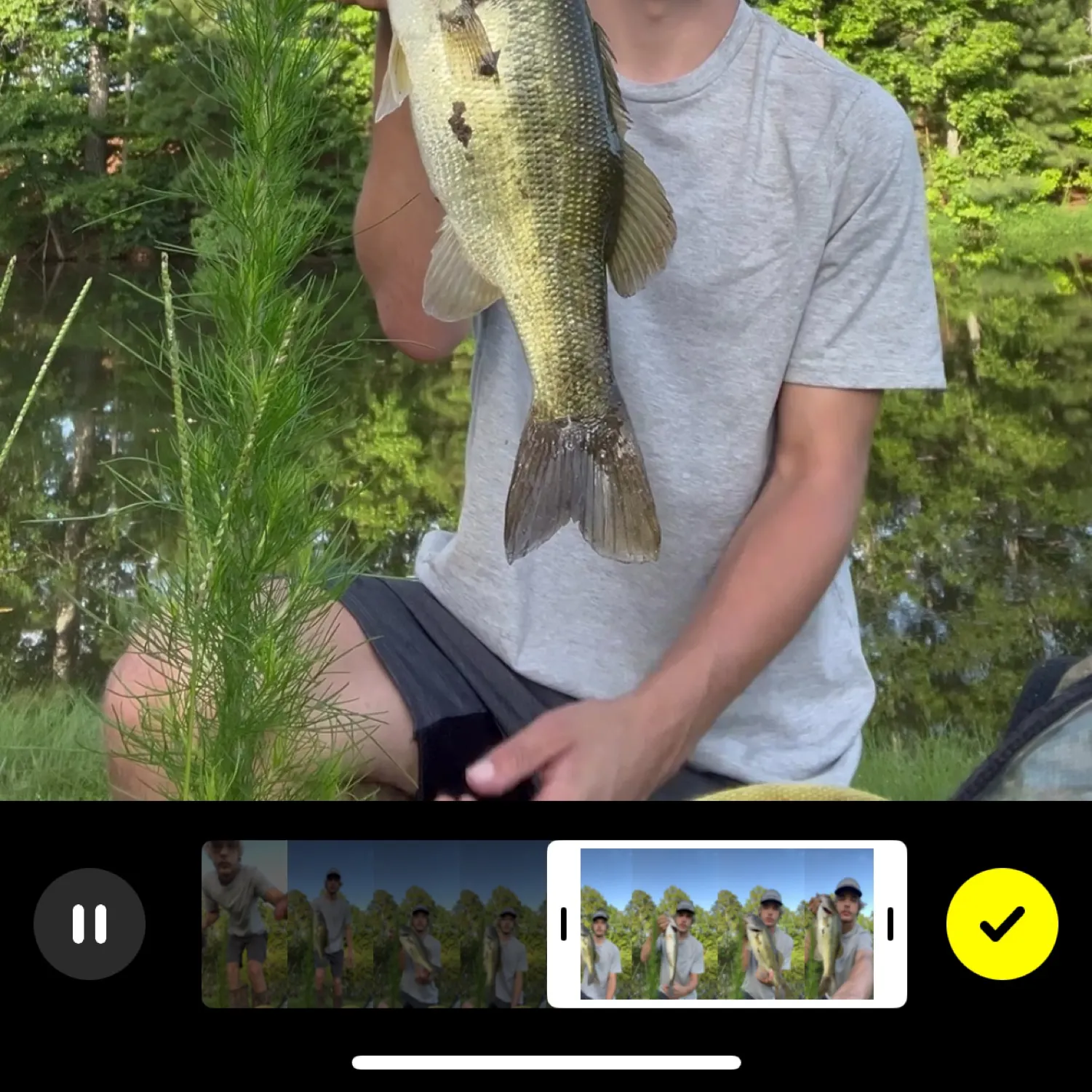 recently logged catches