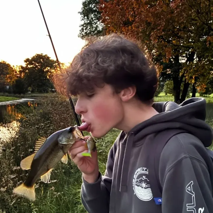 Largemouth bass caught on Fishbrain