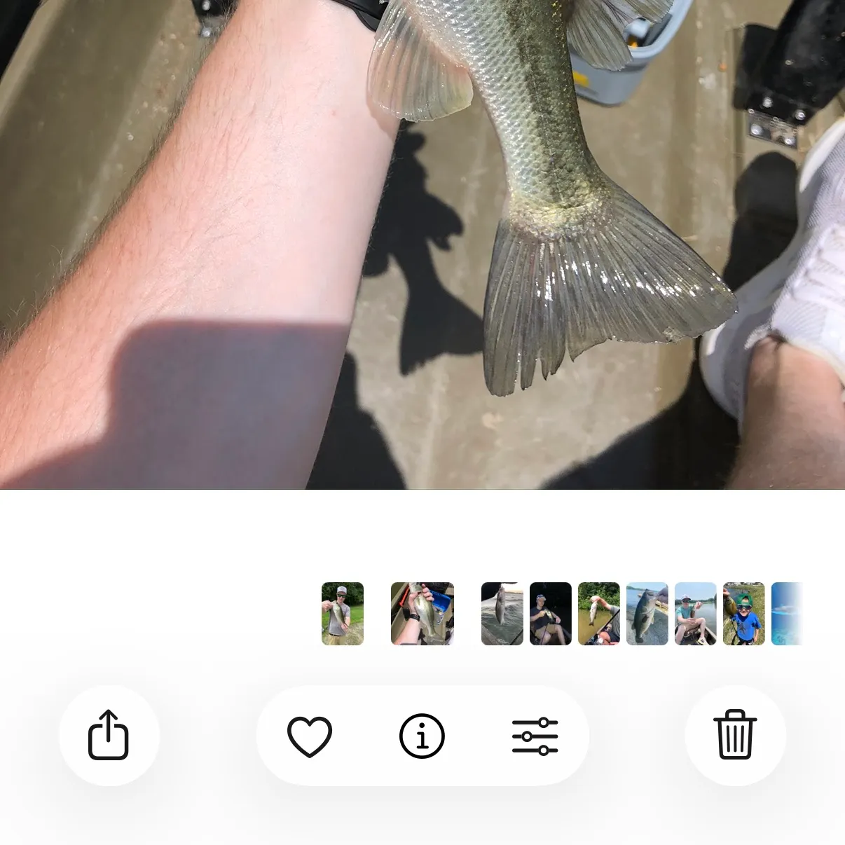 catch