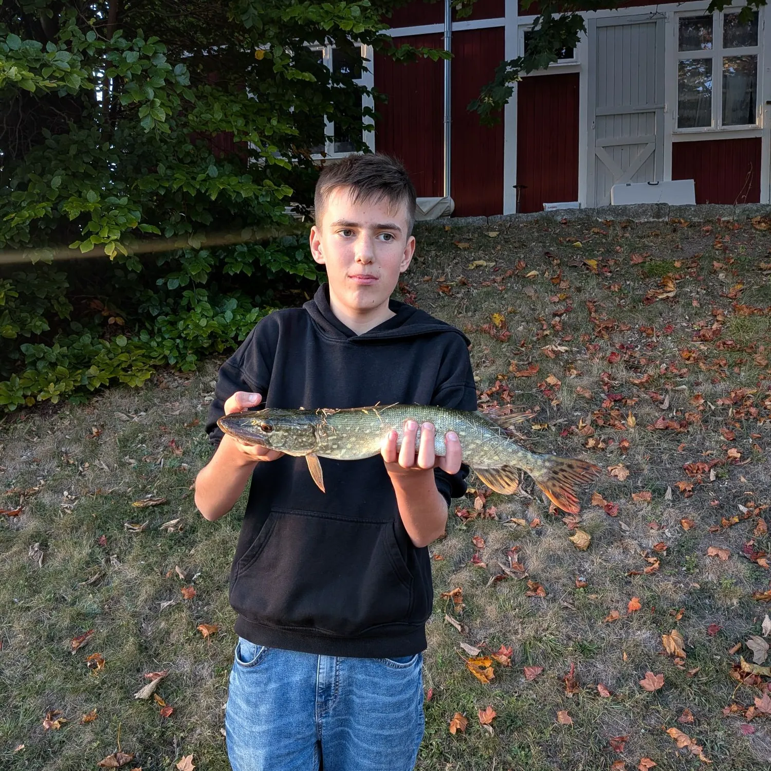 Northern pike caught on Fishbrain