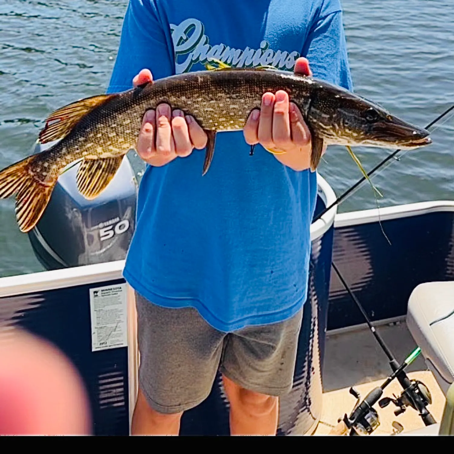 Northern pike caught on Fishbrain