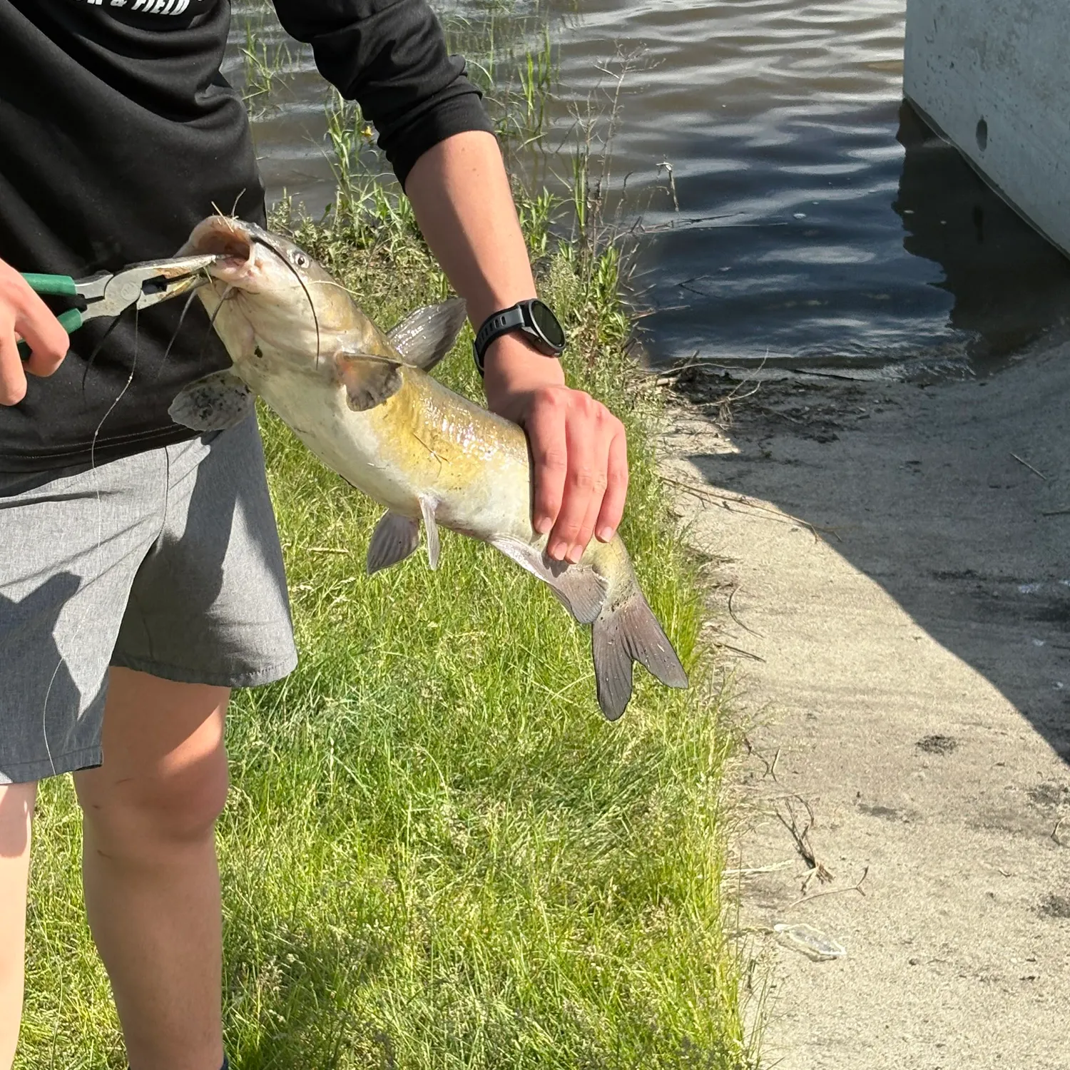 catch