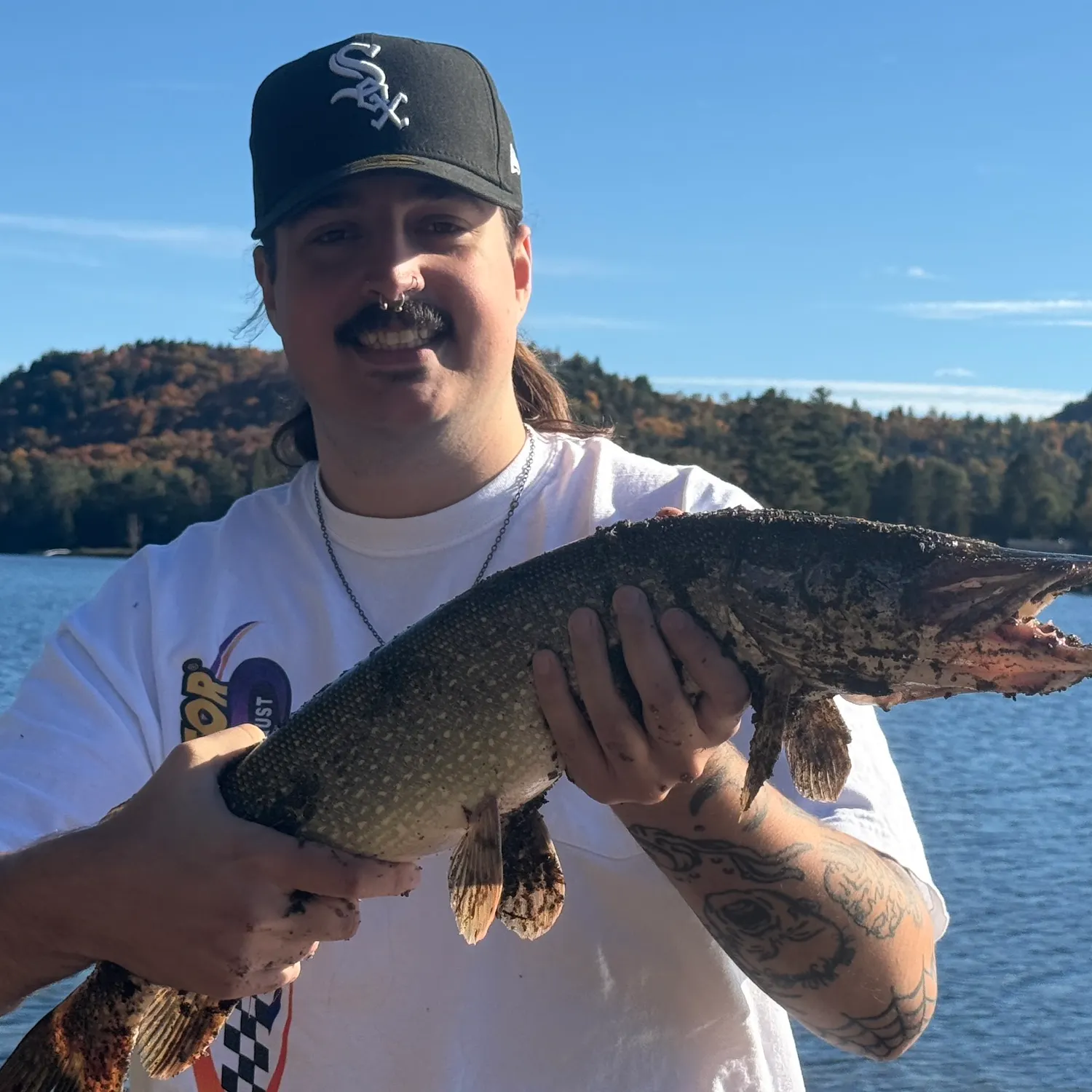 Northern pike caught on Fishbrain