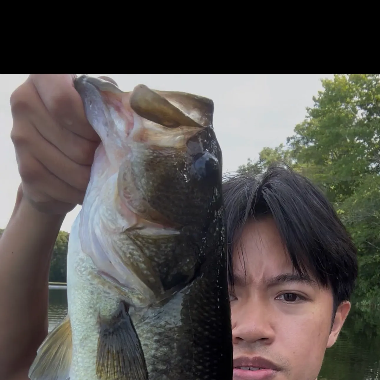 Largemouth bass caught on Fishbrain