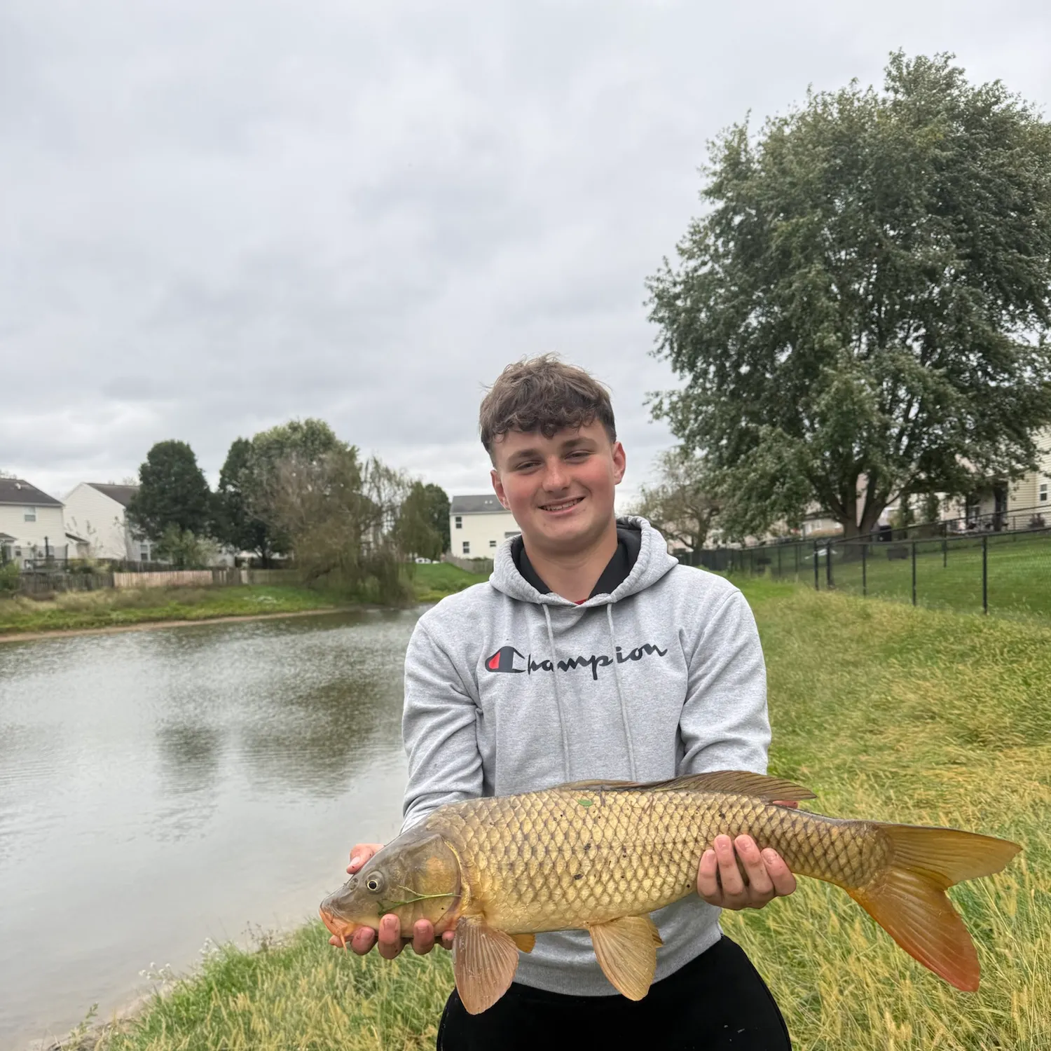 Common carp caught on Fishbrain