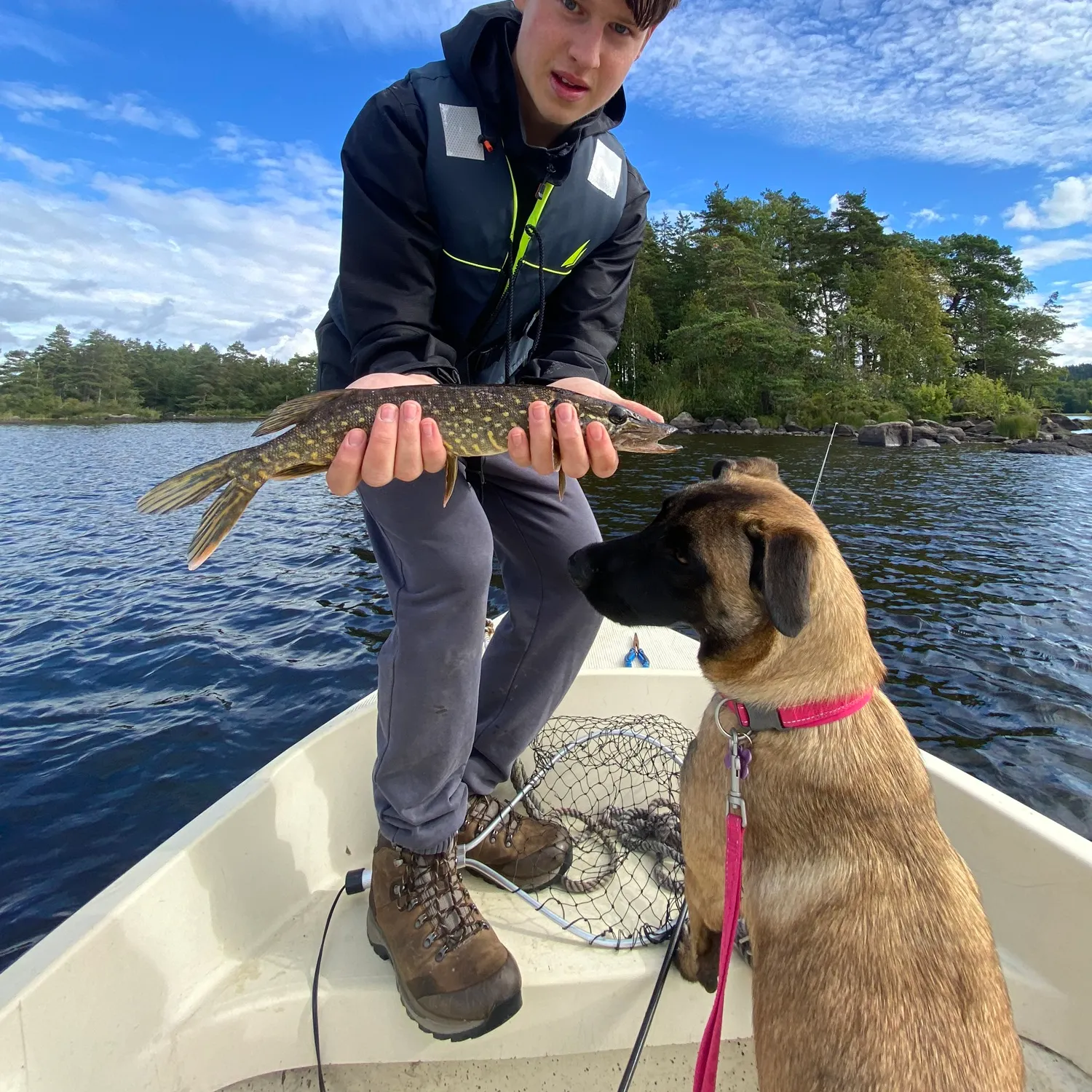 Northern pike caught on Fishbrain
