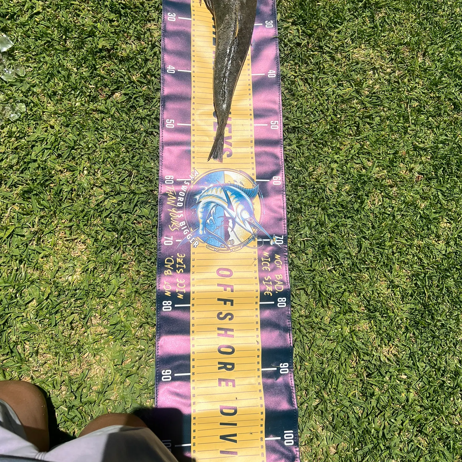 The most recent Bartail flathead catches on Fishbrain