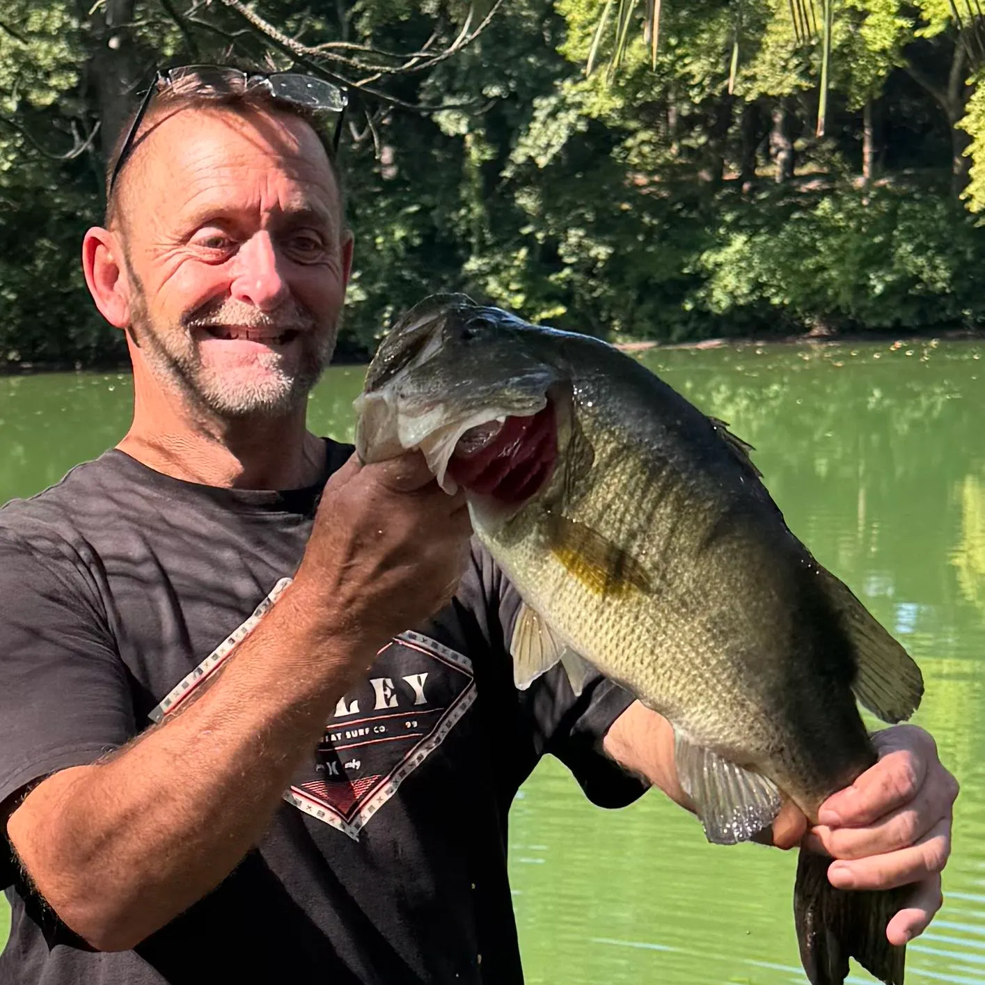 Largemouth bass caught on Fishbrain