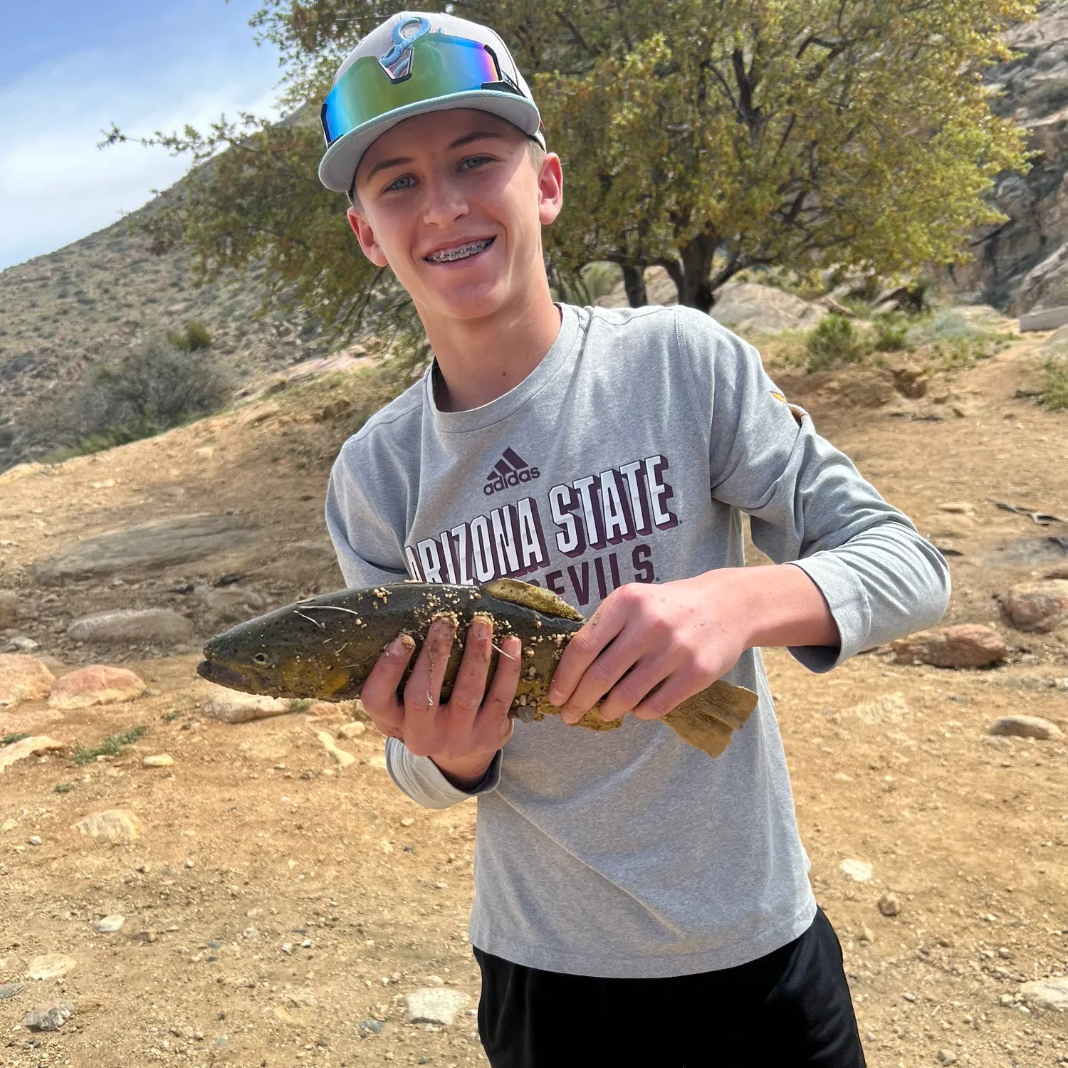 The most recent Gila trout catches on Fishbrain