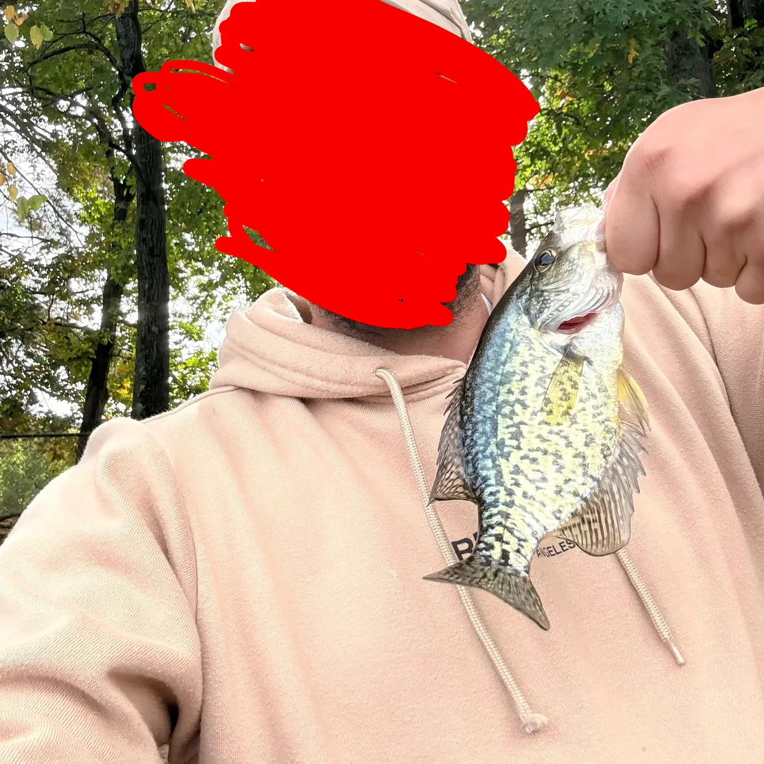 Black crappie caught on Fishbrain