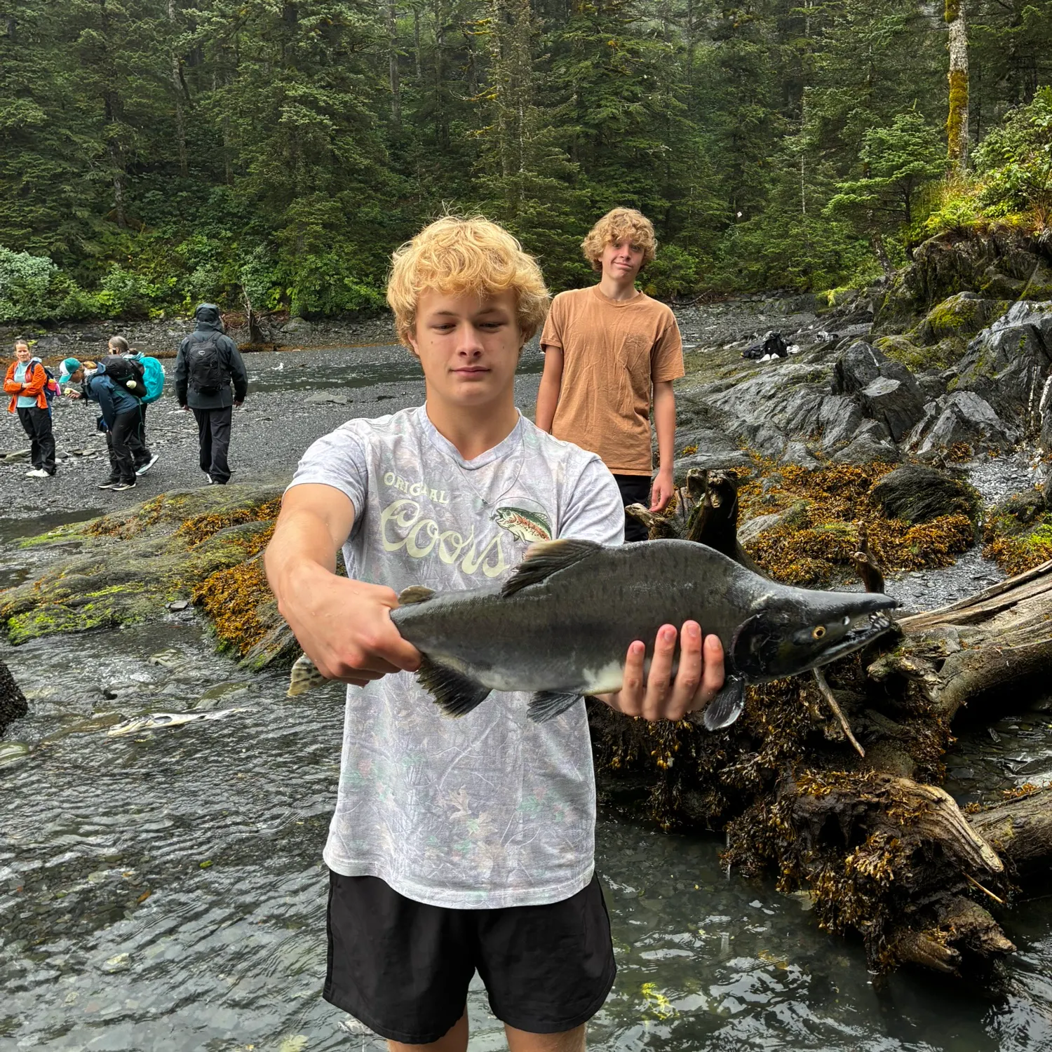 Pink salmon caught on Fishbrain