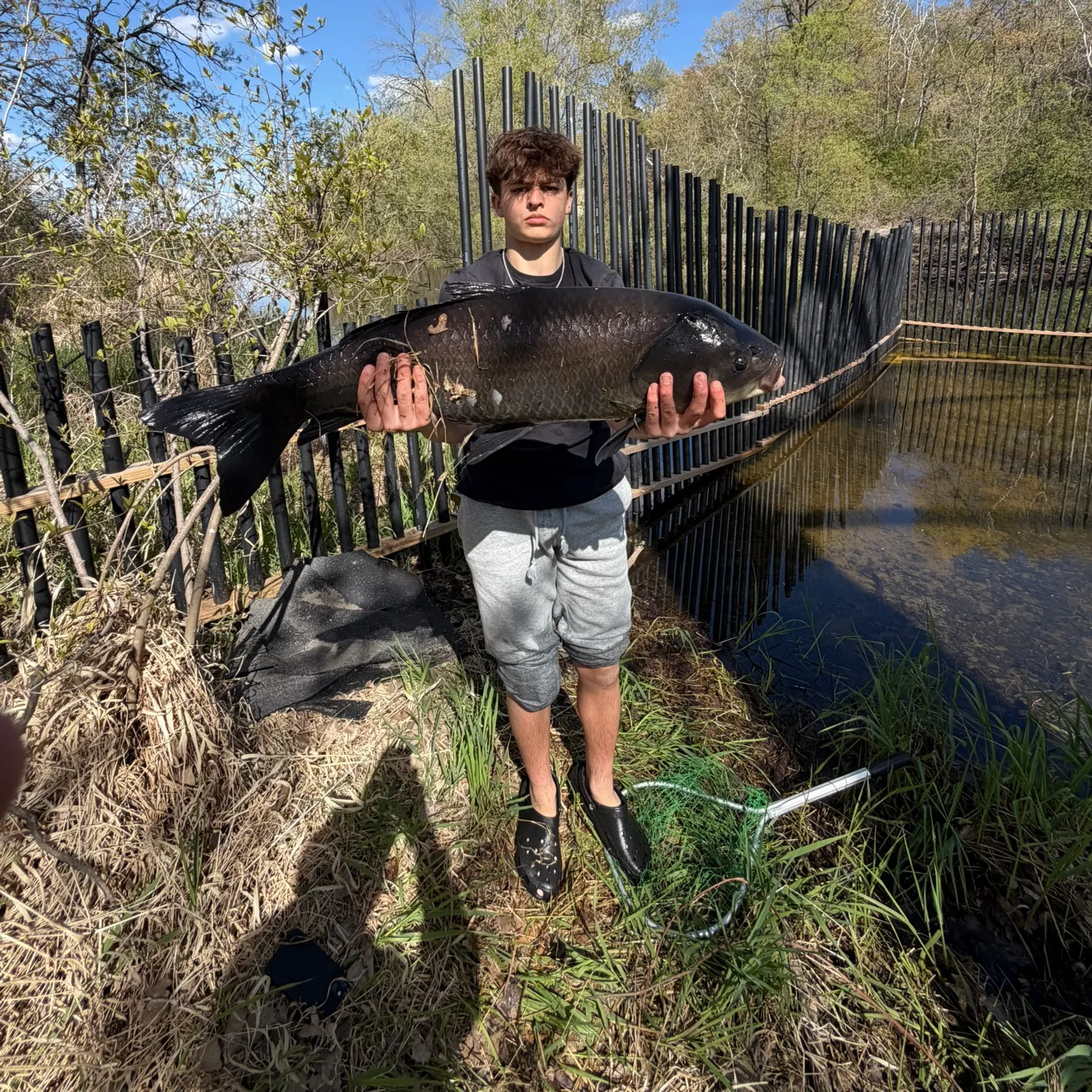 The most recent Black buffalo catches on Fishbrain