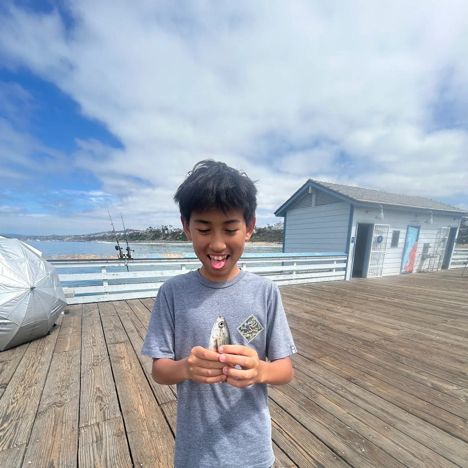 The most recent Queenfish catches on Fishbrain