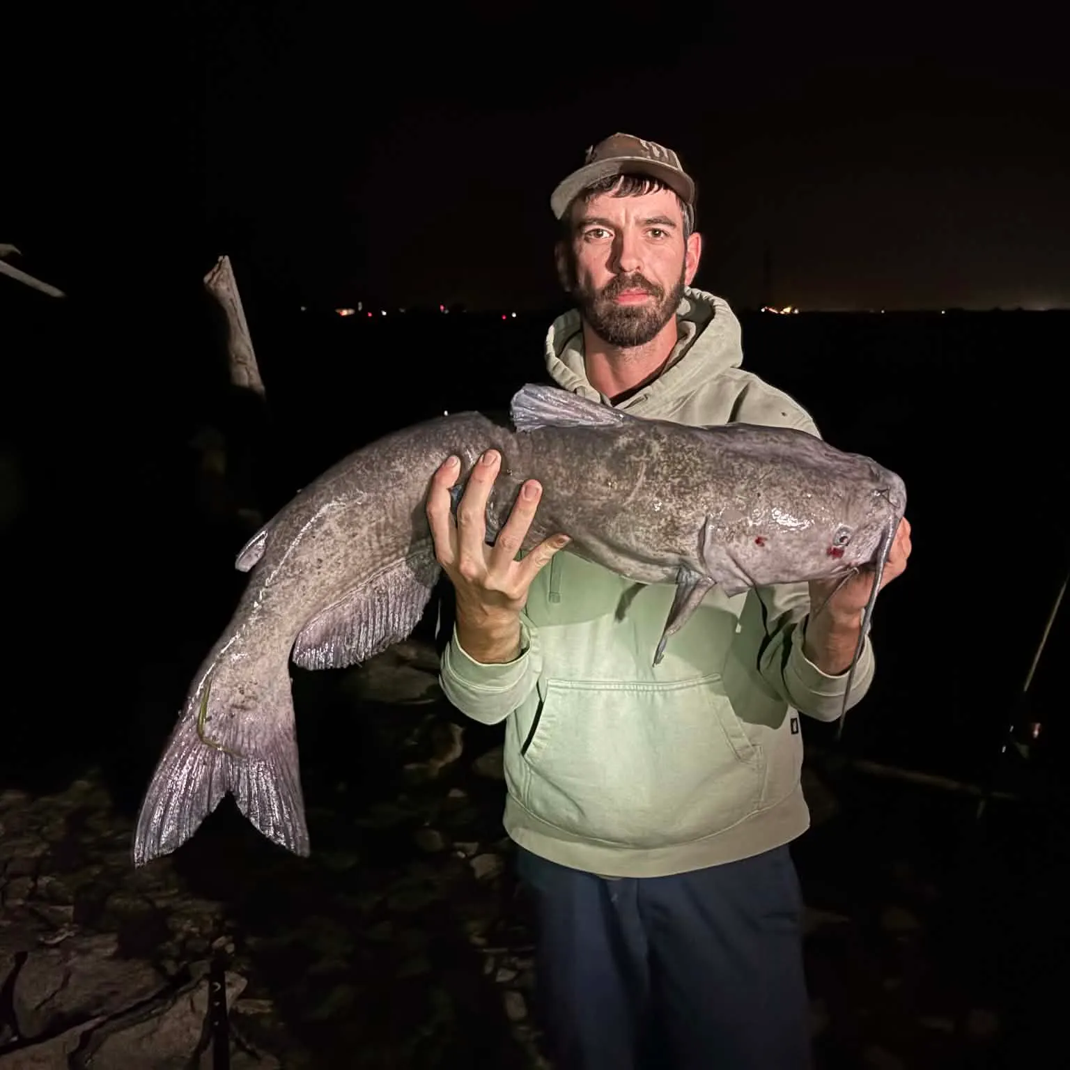 Channel catfish caught on Fishbrain