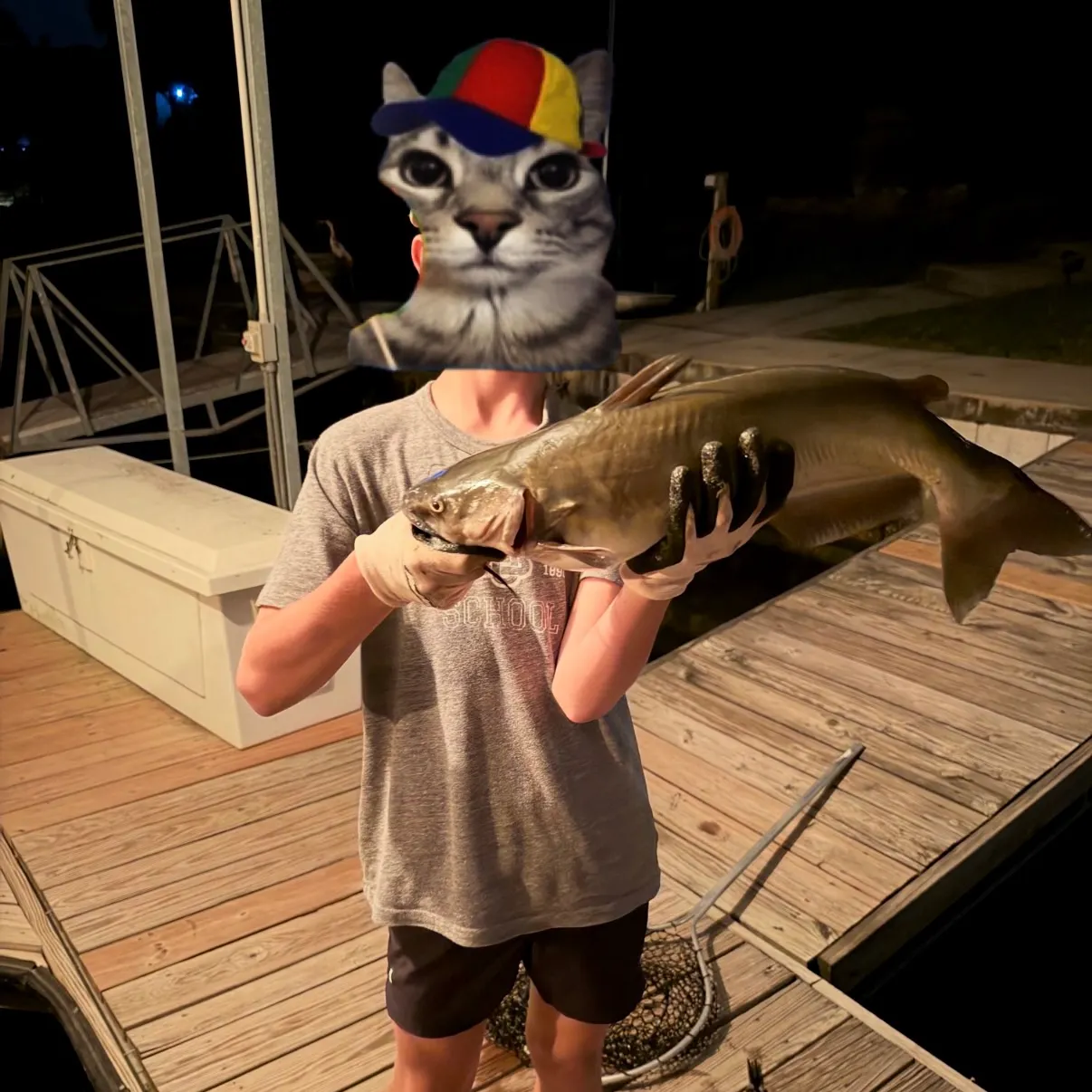 Channel catfish caught on Fishbrain