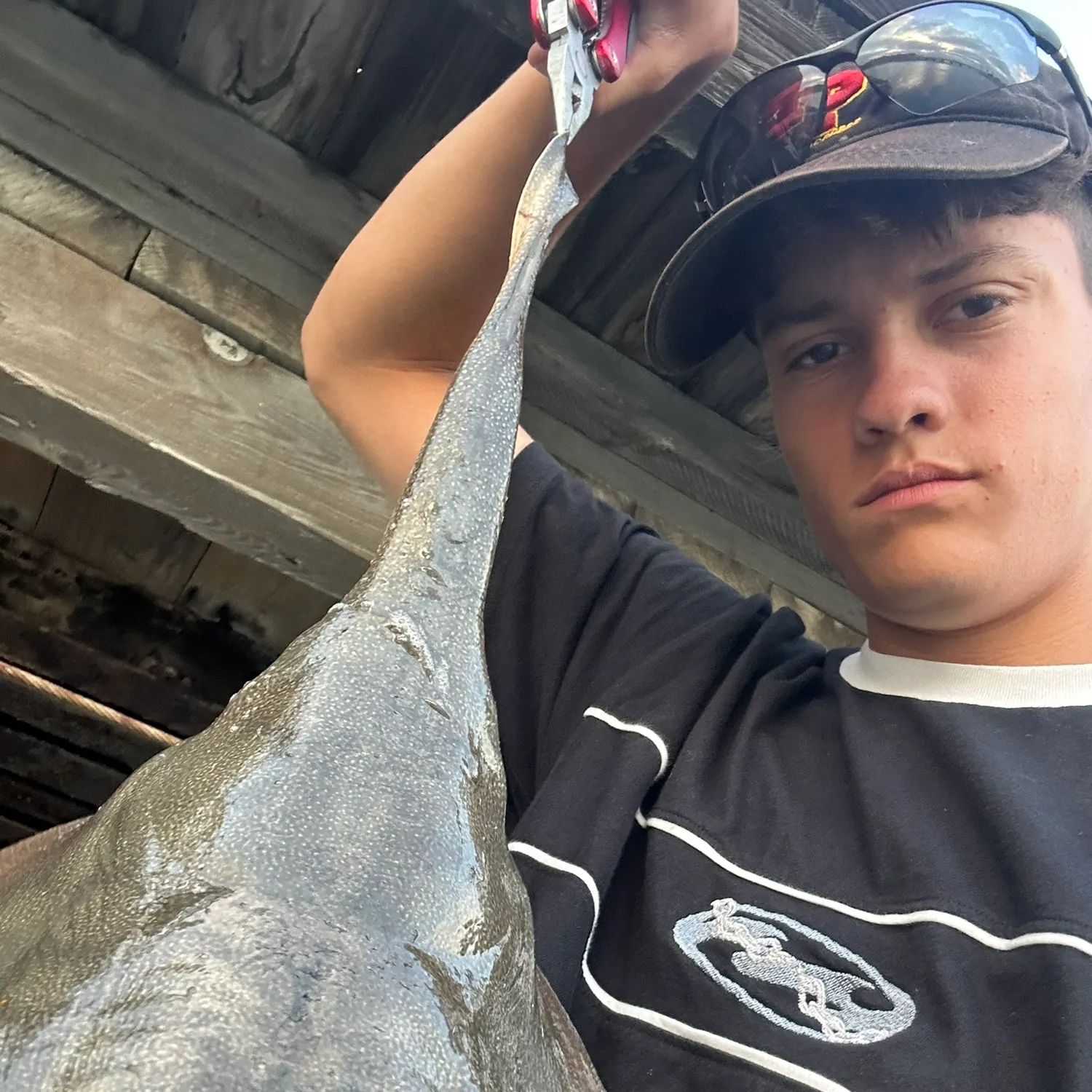 Haller's round ray caught on Fishbrain