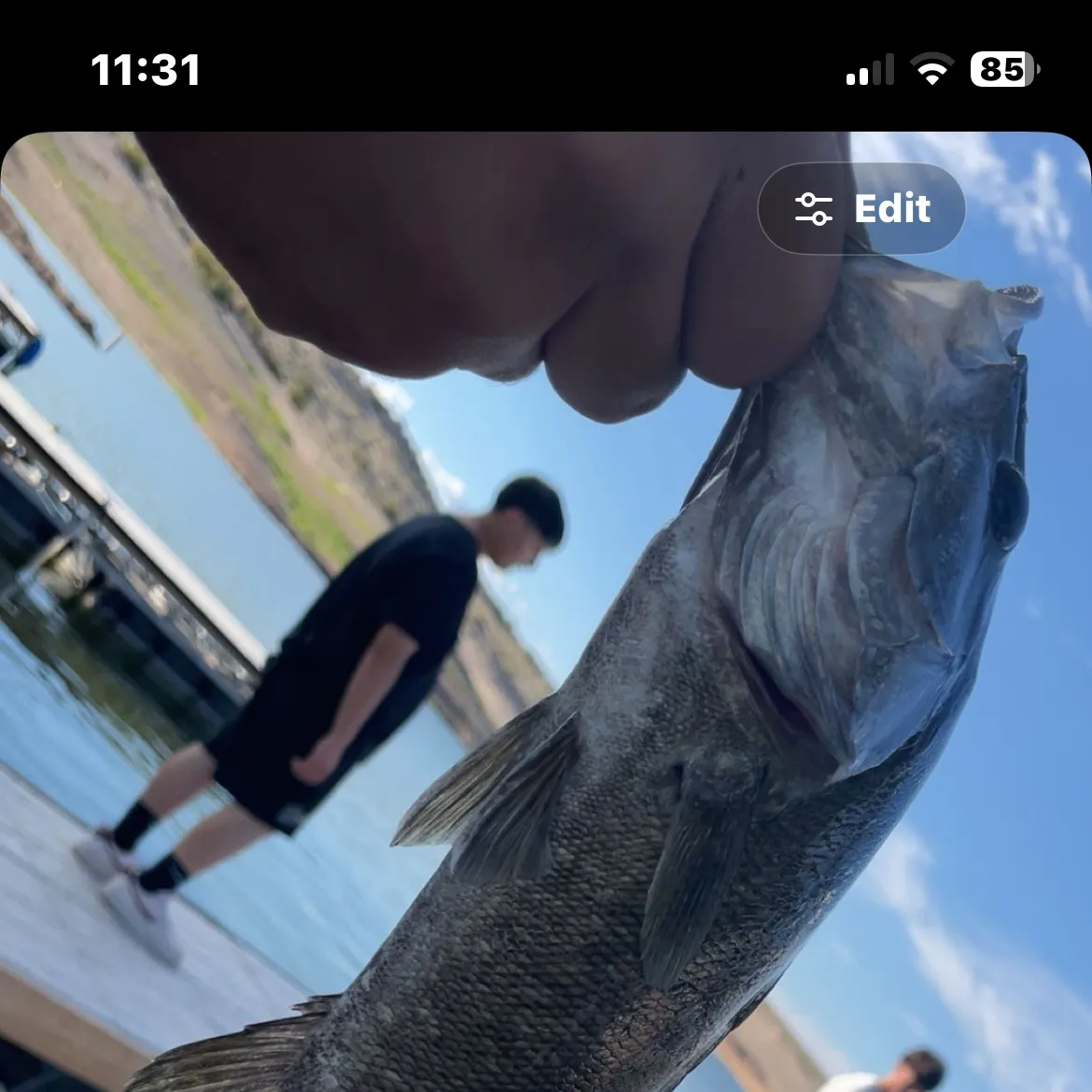 recently logged catches