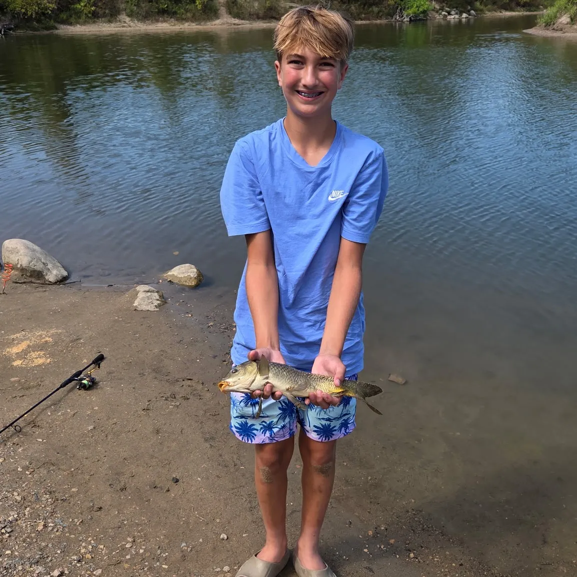 Common carp caught on Fishbrain