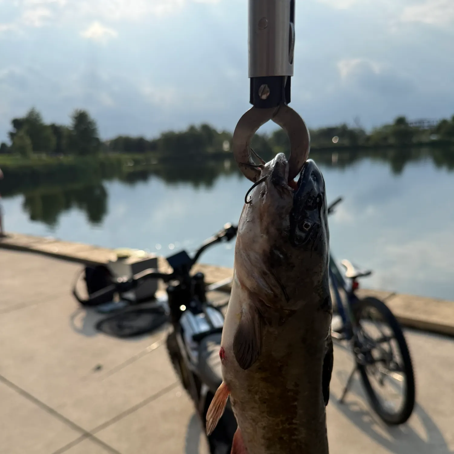 catch