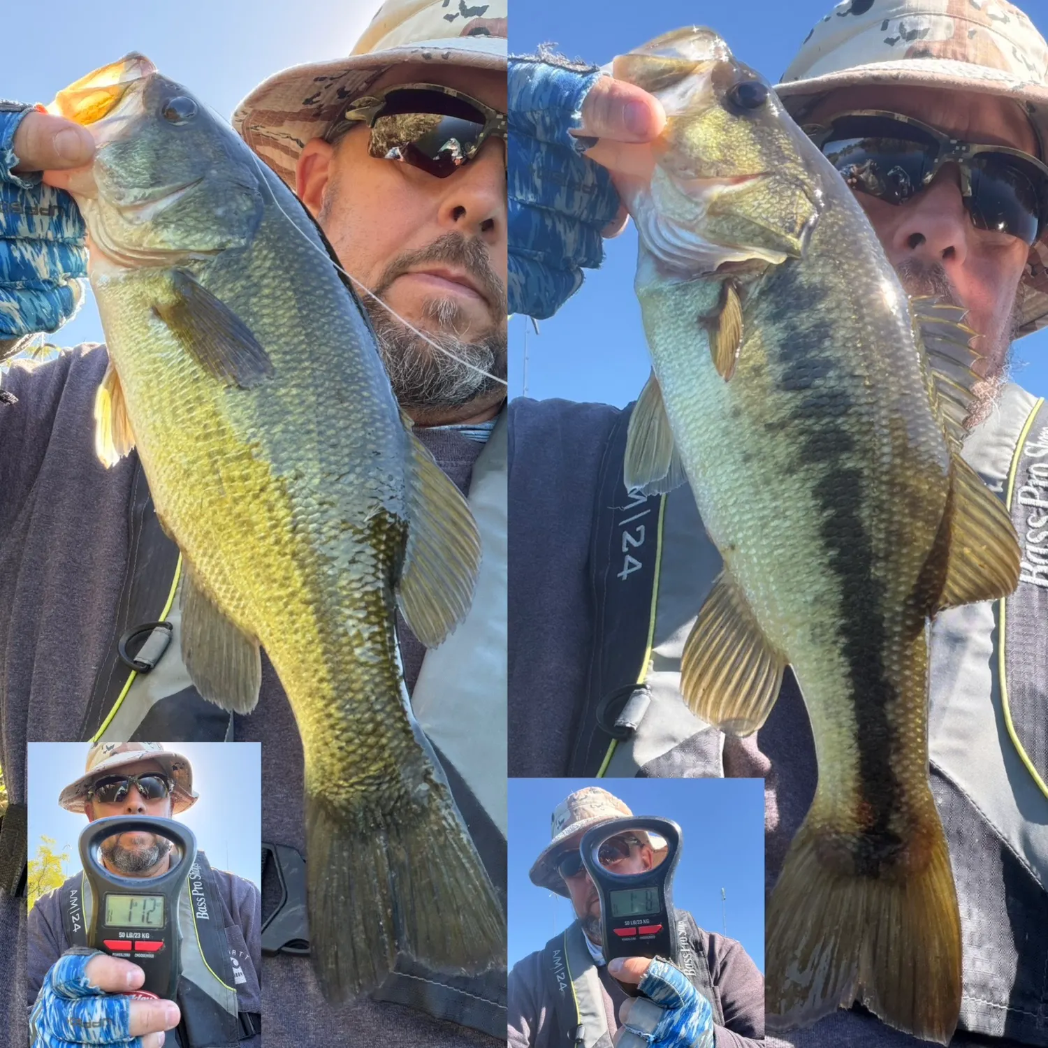 Largemouth bass caught on Fishbrain
