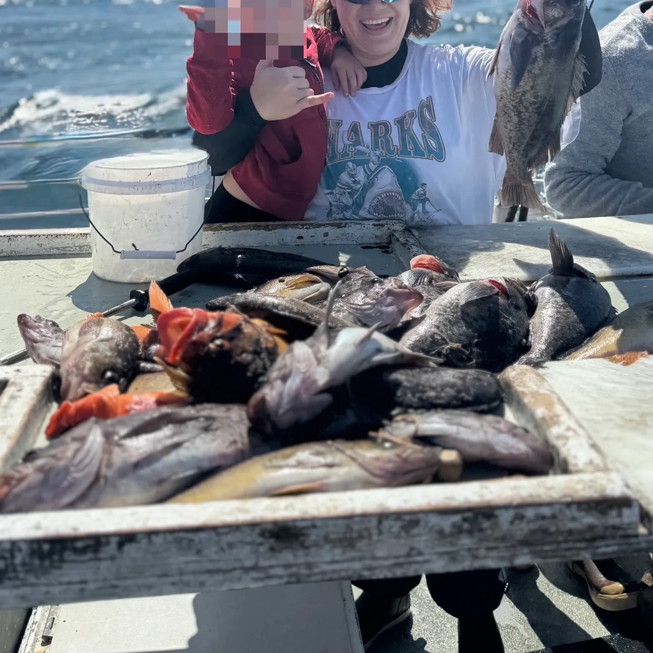 Black rockfish caught on Fishbrain