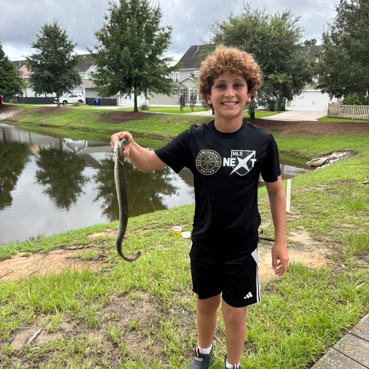 The most recent American eel catches on Fishbrain