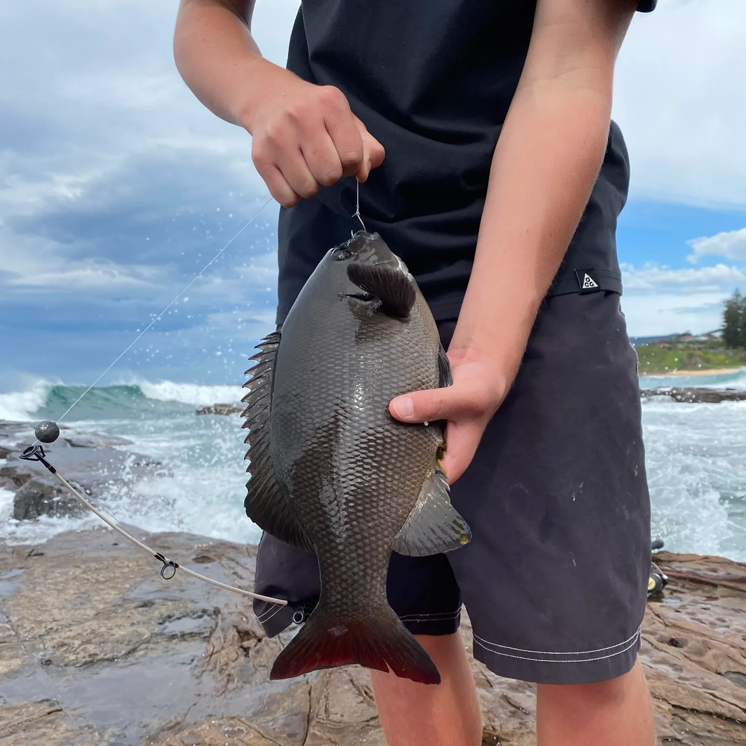 The most recent Black drummer catches on Fishbrain